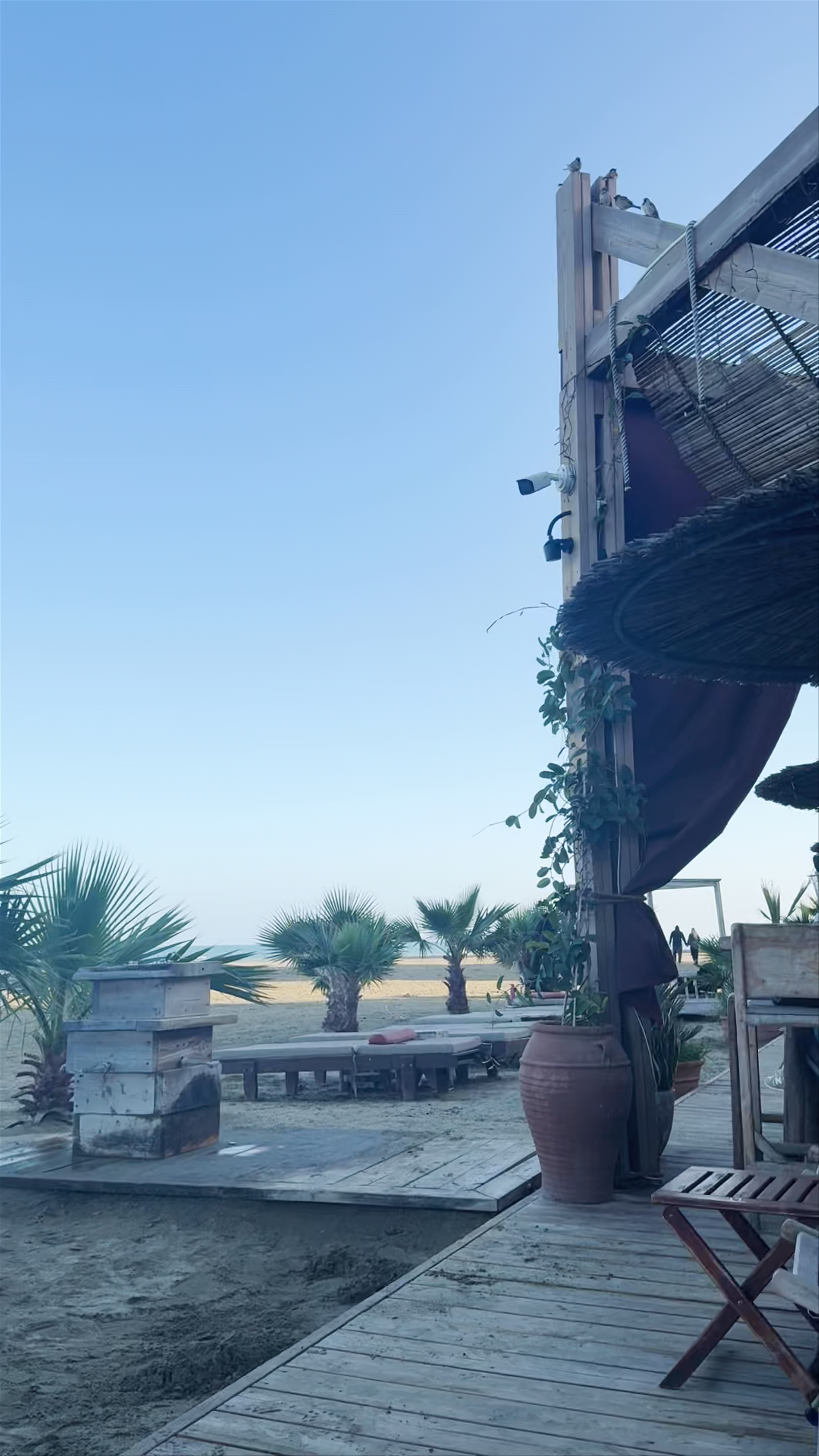 NUSA Beach Bar: Relaxing Coastal Escape in Larnaca, Cyprus