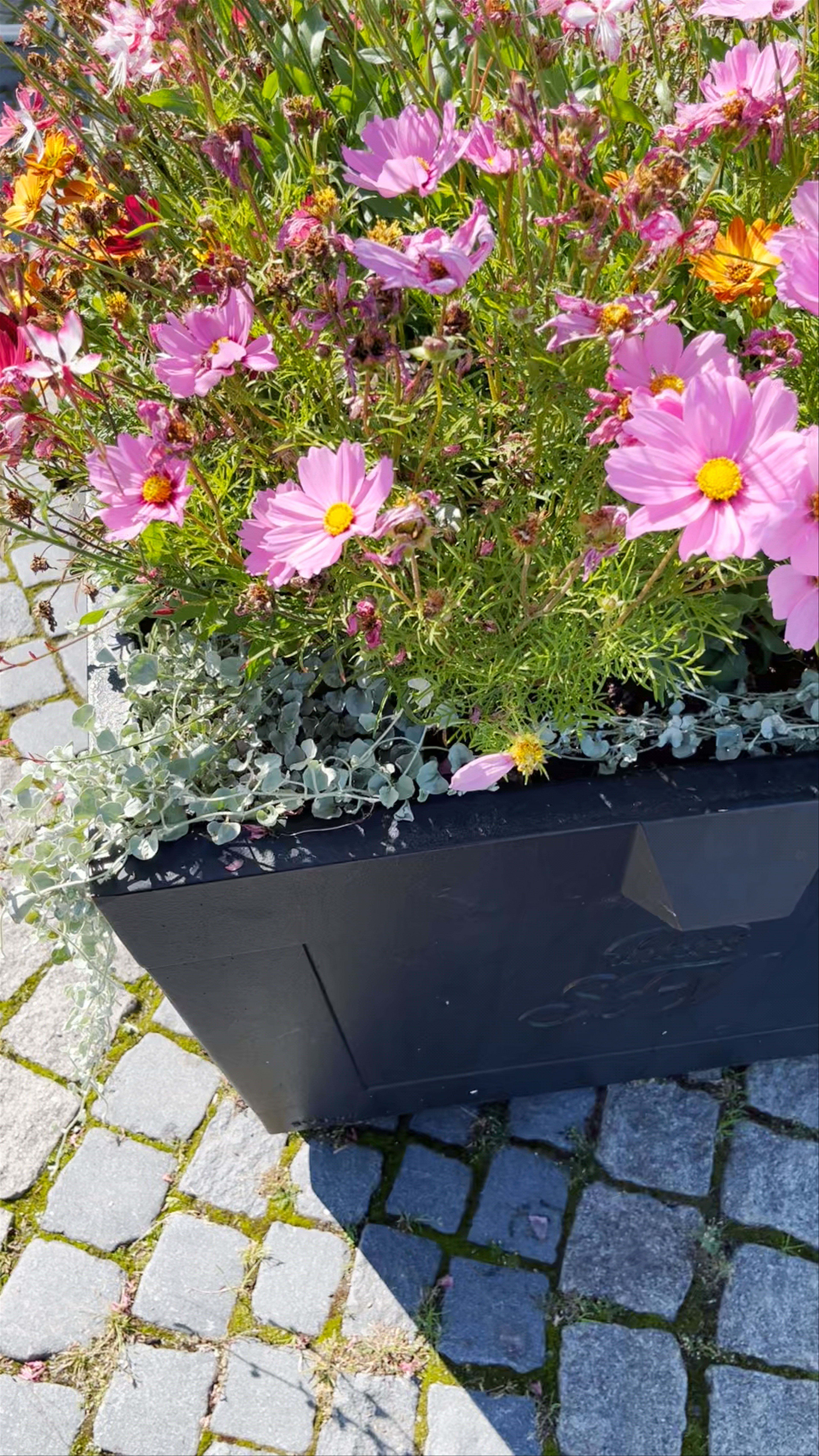 Summer Vibes at Evert Taubes Terrass in Stockholm