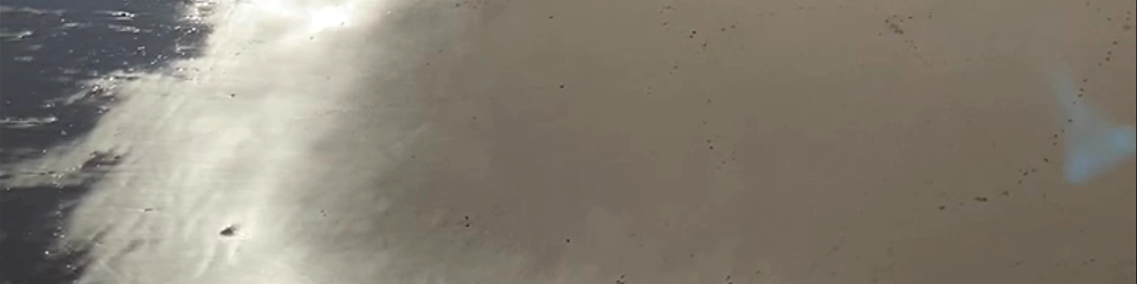 St. Catherines Island and fort