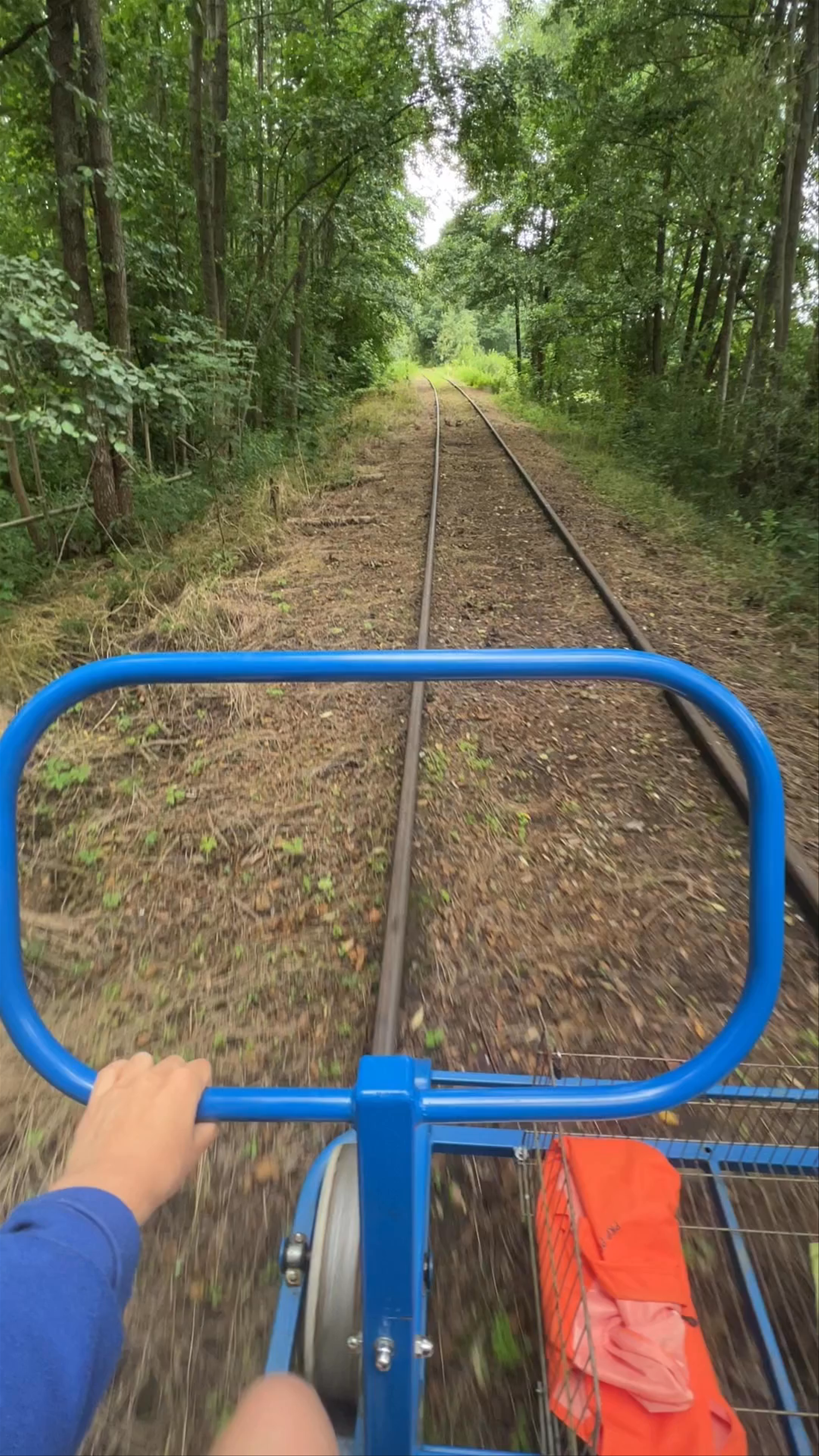 Białowieskie Drezyny Rowerowe Polskie Naukowe Towarzystwo Kolejowo Techniczne