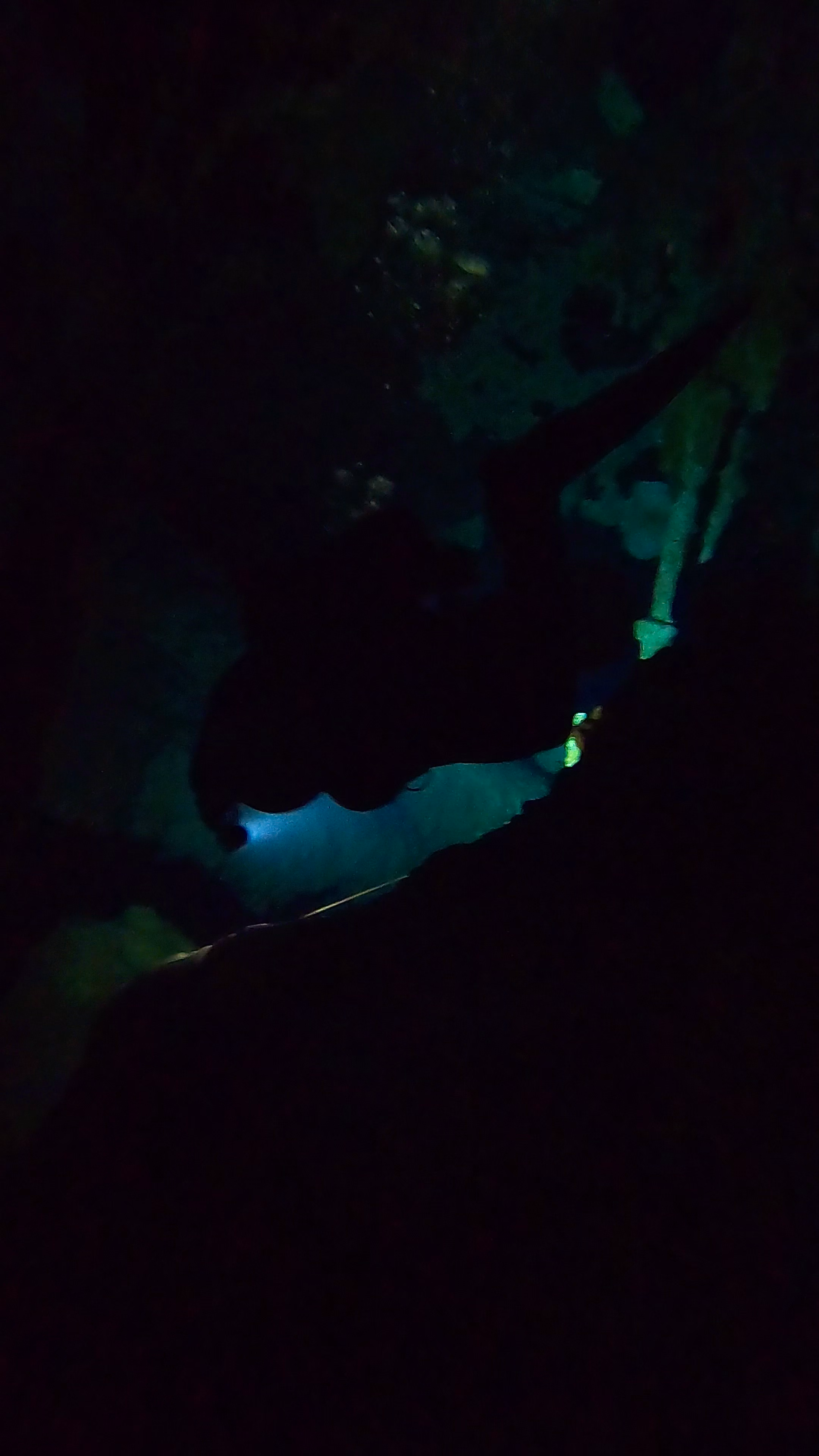 Two Eyes Cenote
