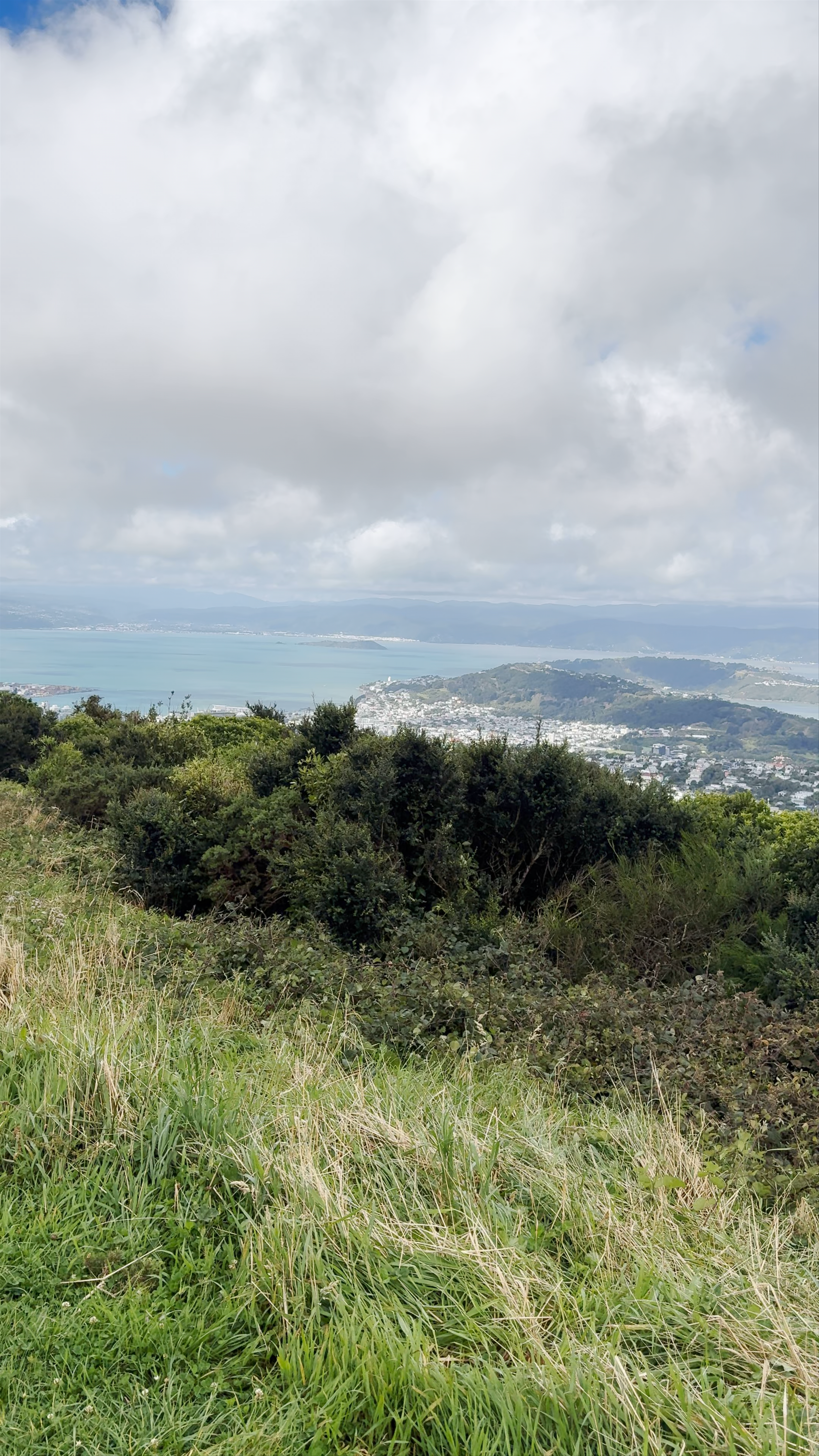 Wellington Wind Turbine Owhiro Bay Parade