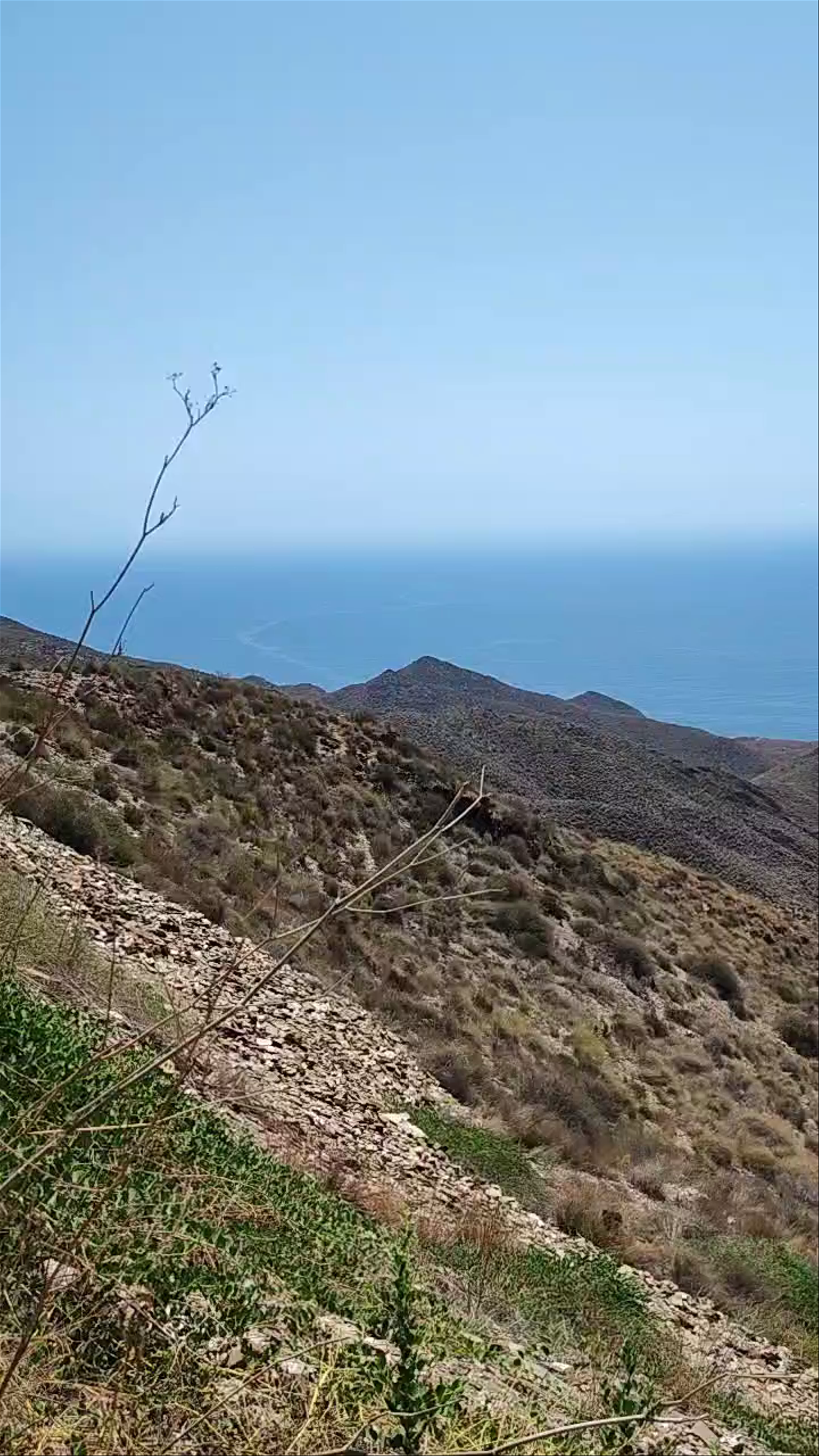 Mirador Parque Regional Cabo Cope y Puntas de Calnegre