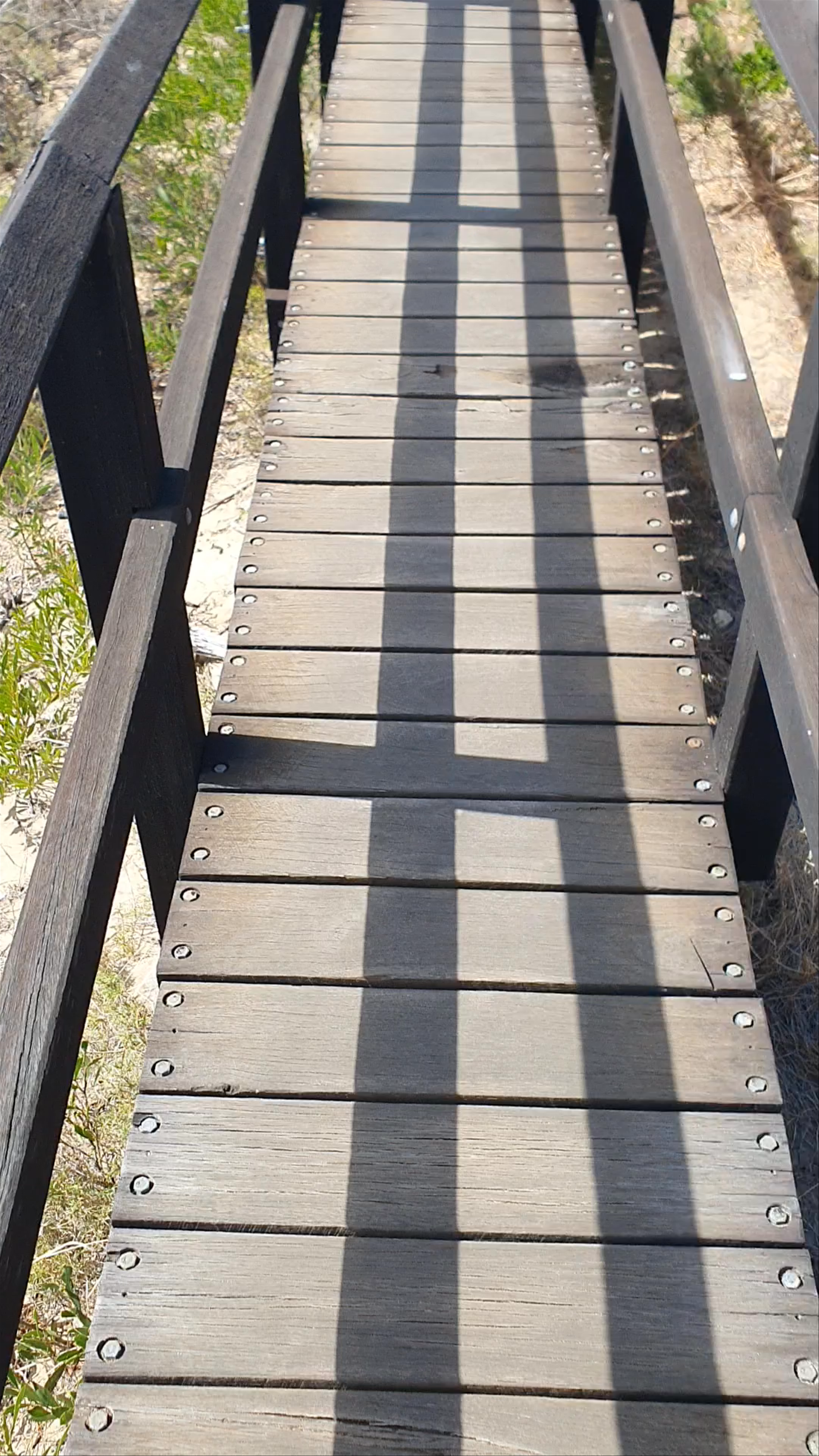 Whale Watching Platform