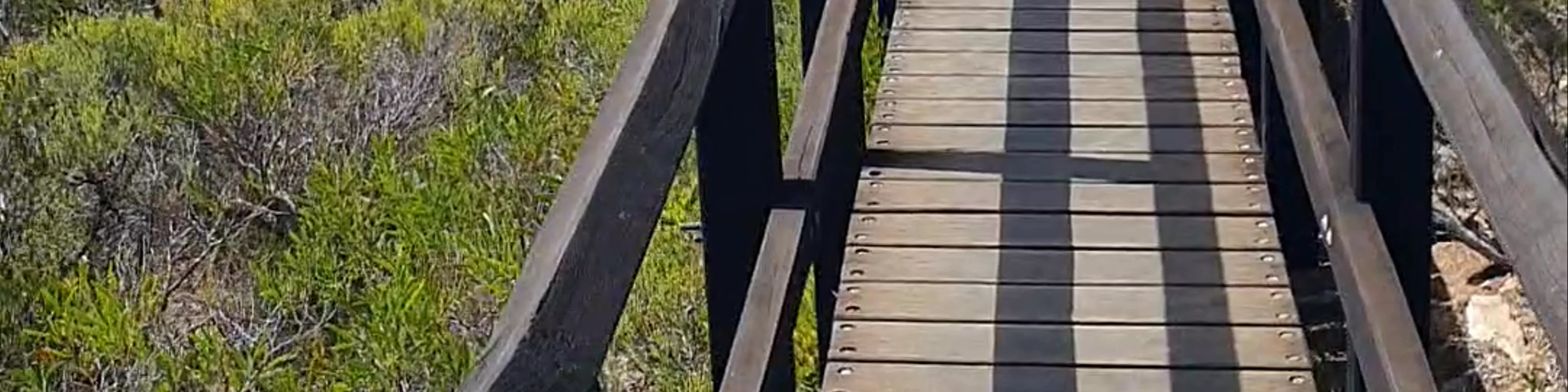 Whale Watching Platform