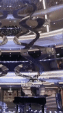 MSC Bellissima