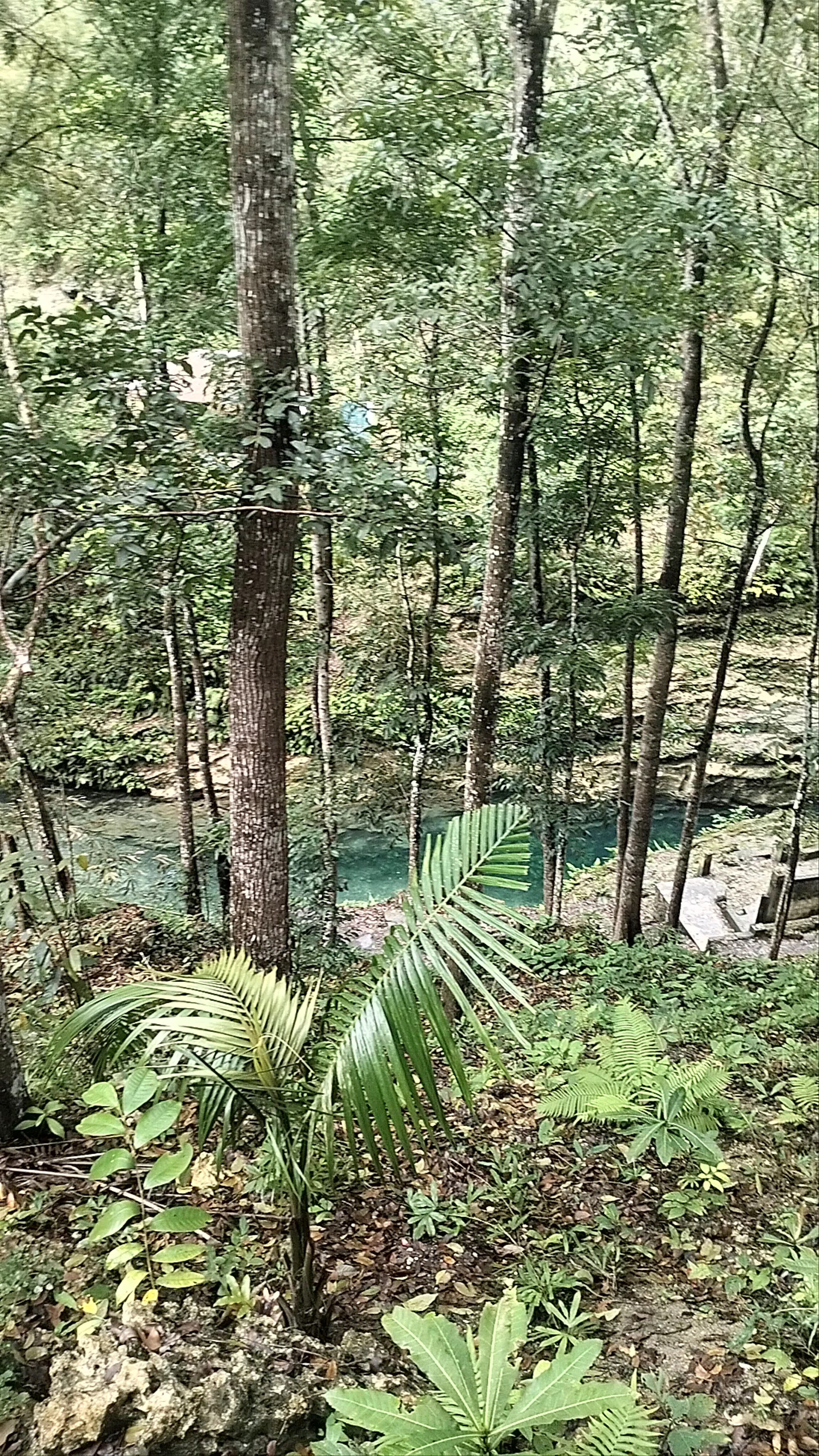 Cancalanog Falls