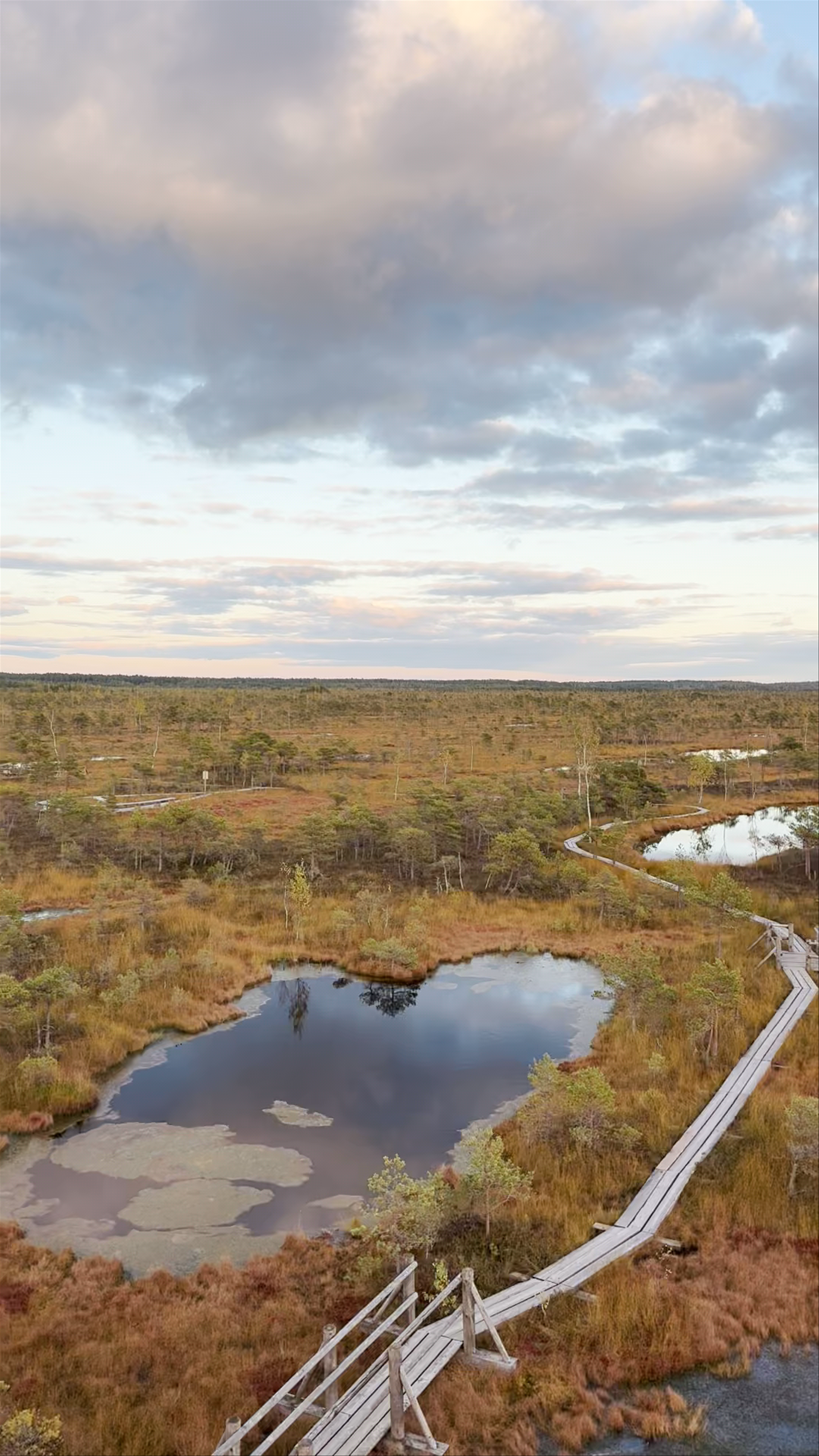 Kemeri Bog Board Walk Tower