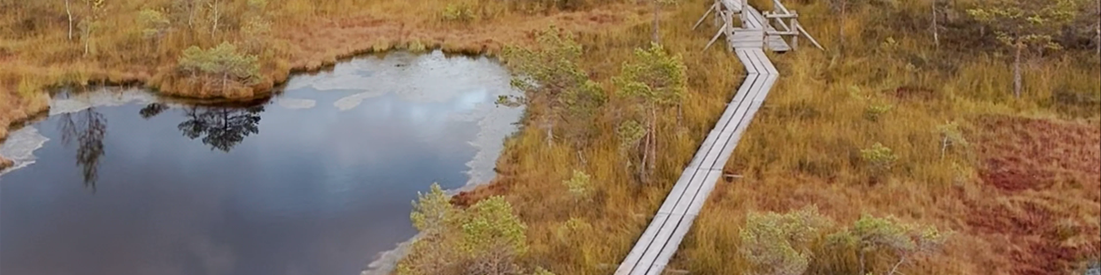 Kemeri Bog Board Walk Tower