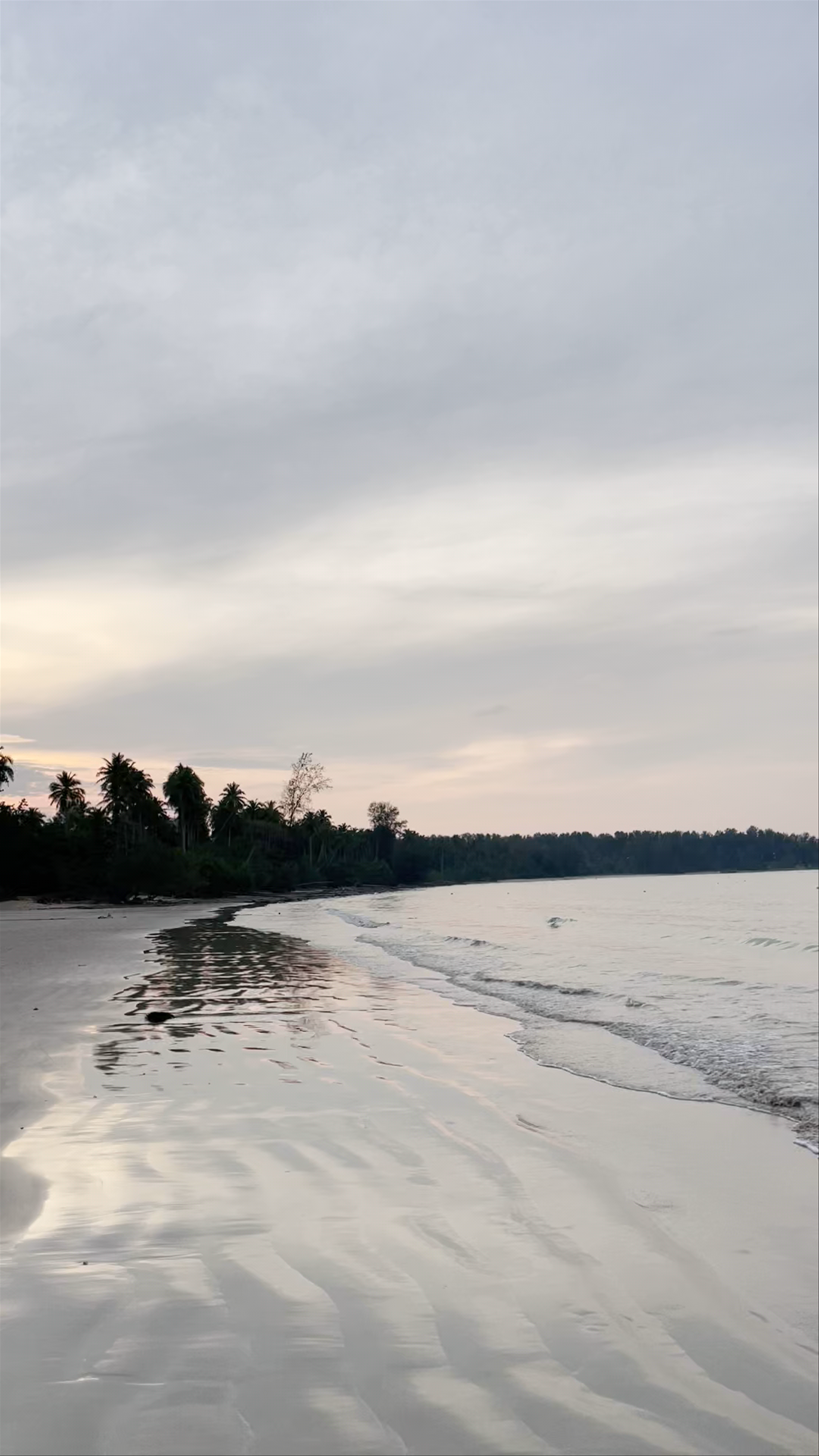 Coconut beach