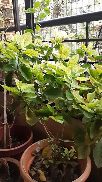 Photo of Yes, I have become a