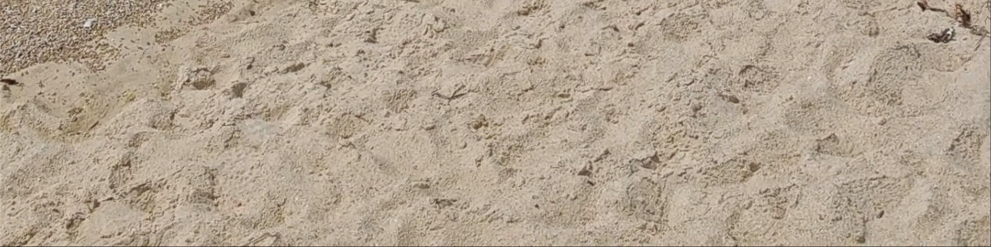 Plage de la Tour