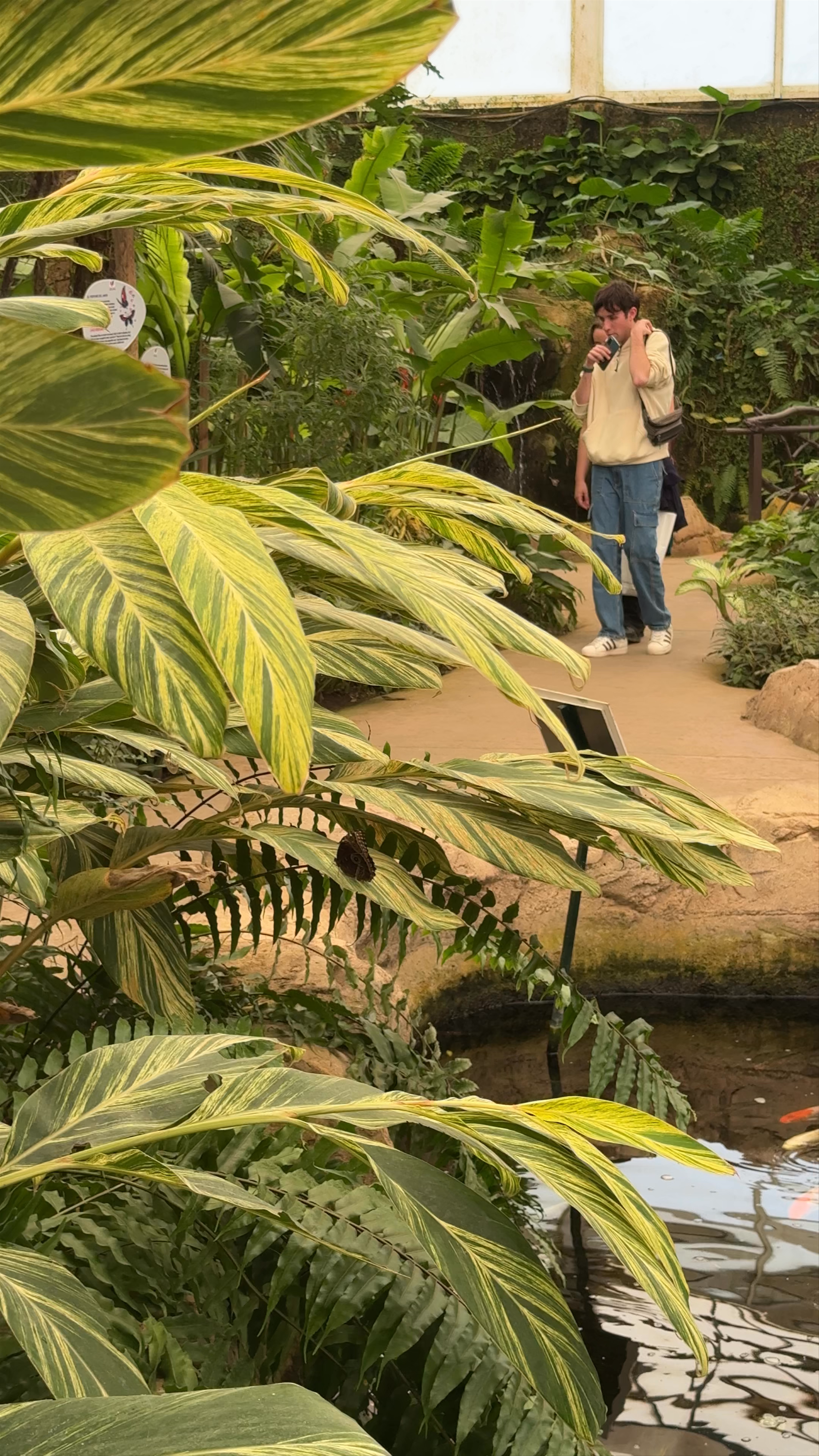 Mariposario de Benalmádena-Butterfly Park