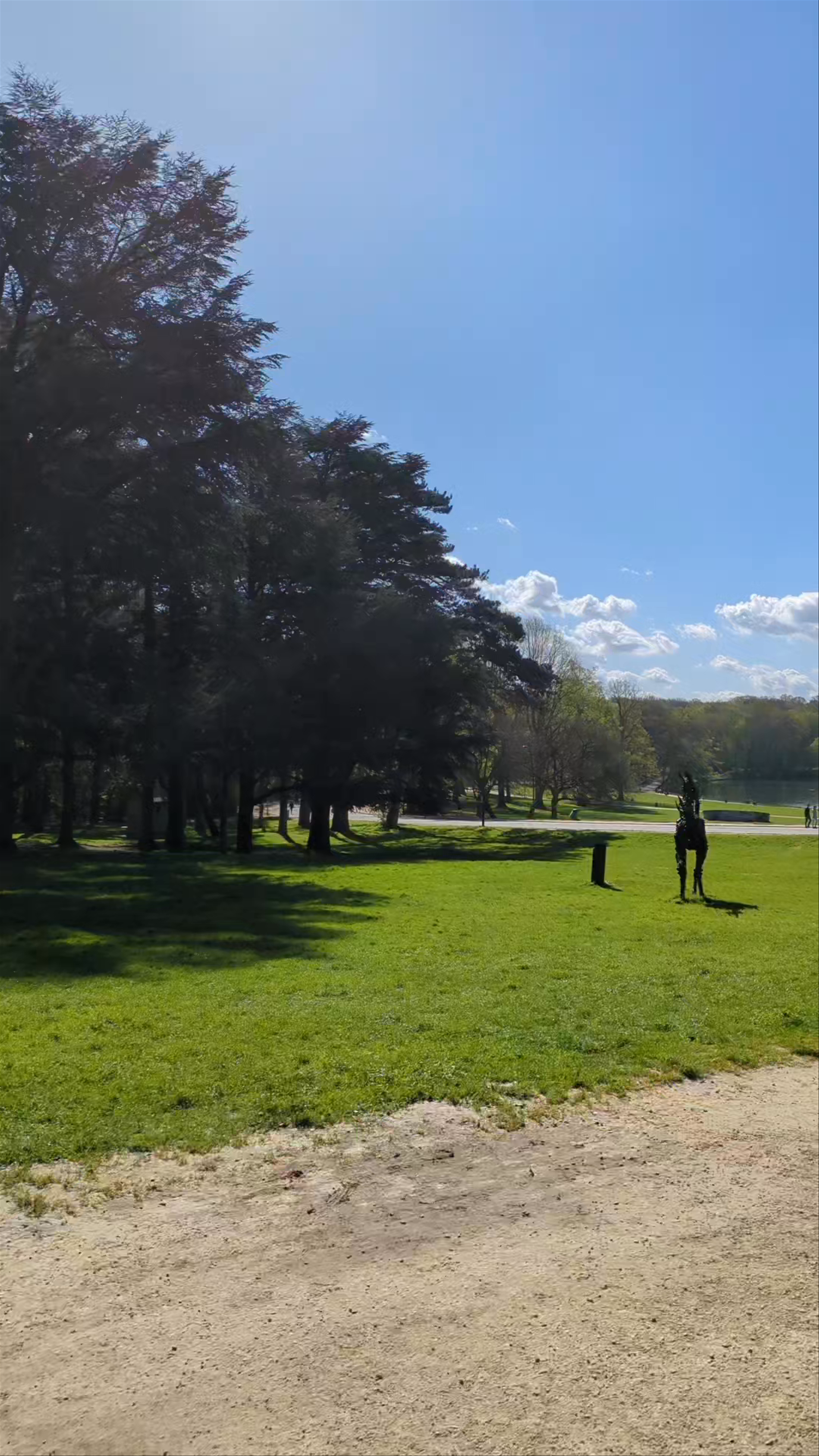 Bois de la Cambre