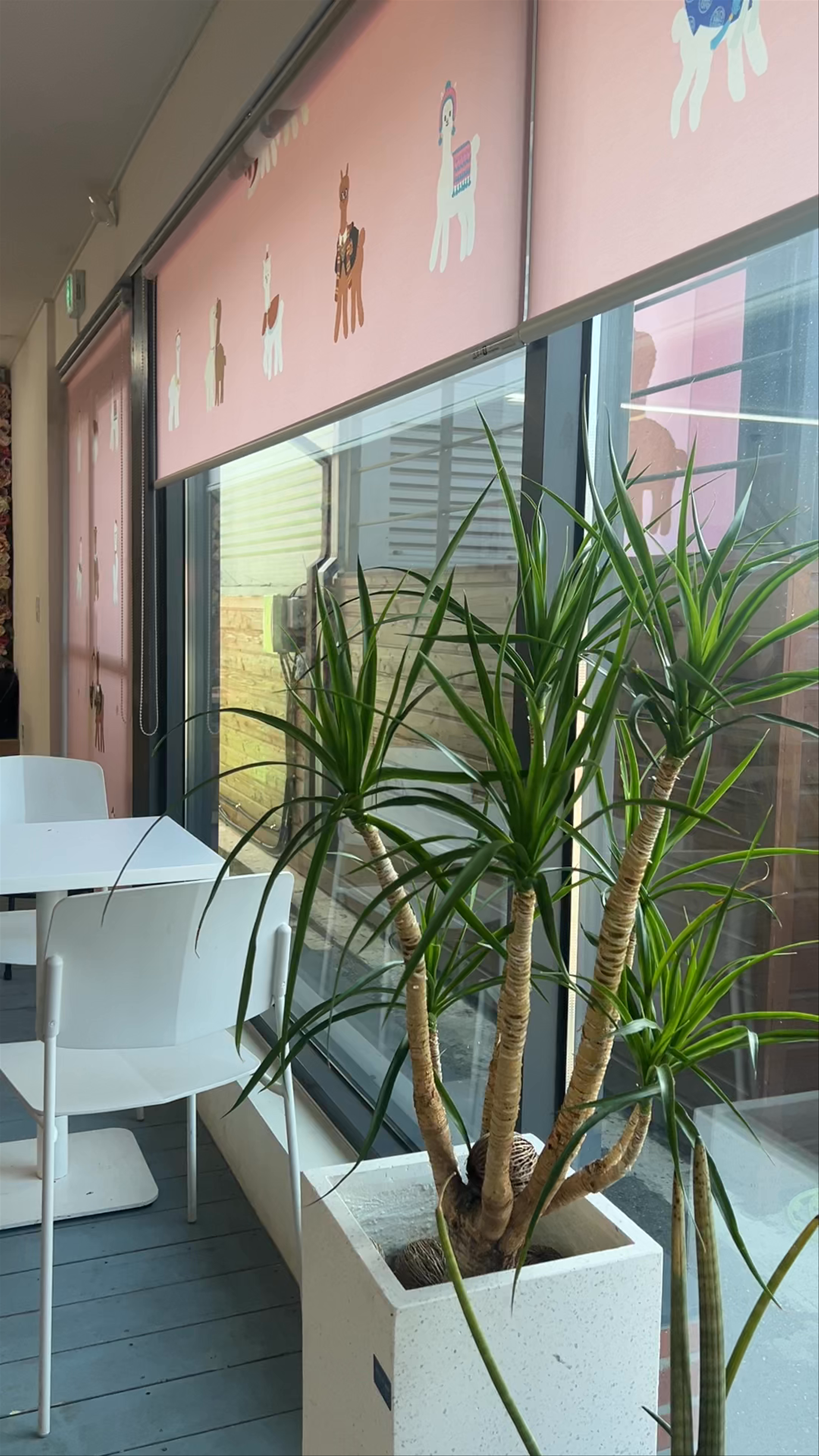 Alpaca Snack Bar: Cozy Bakery Experience in Hongcheon, South Korea
