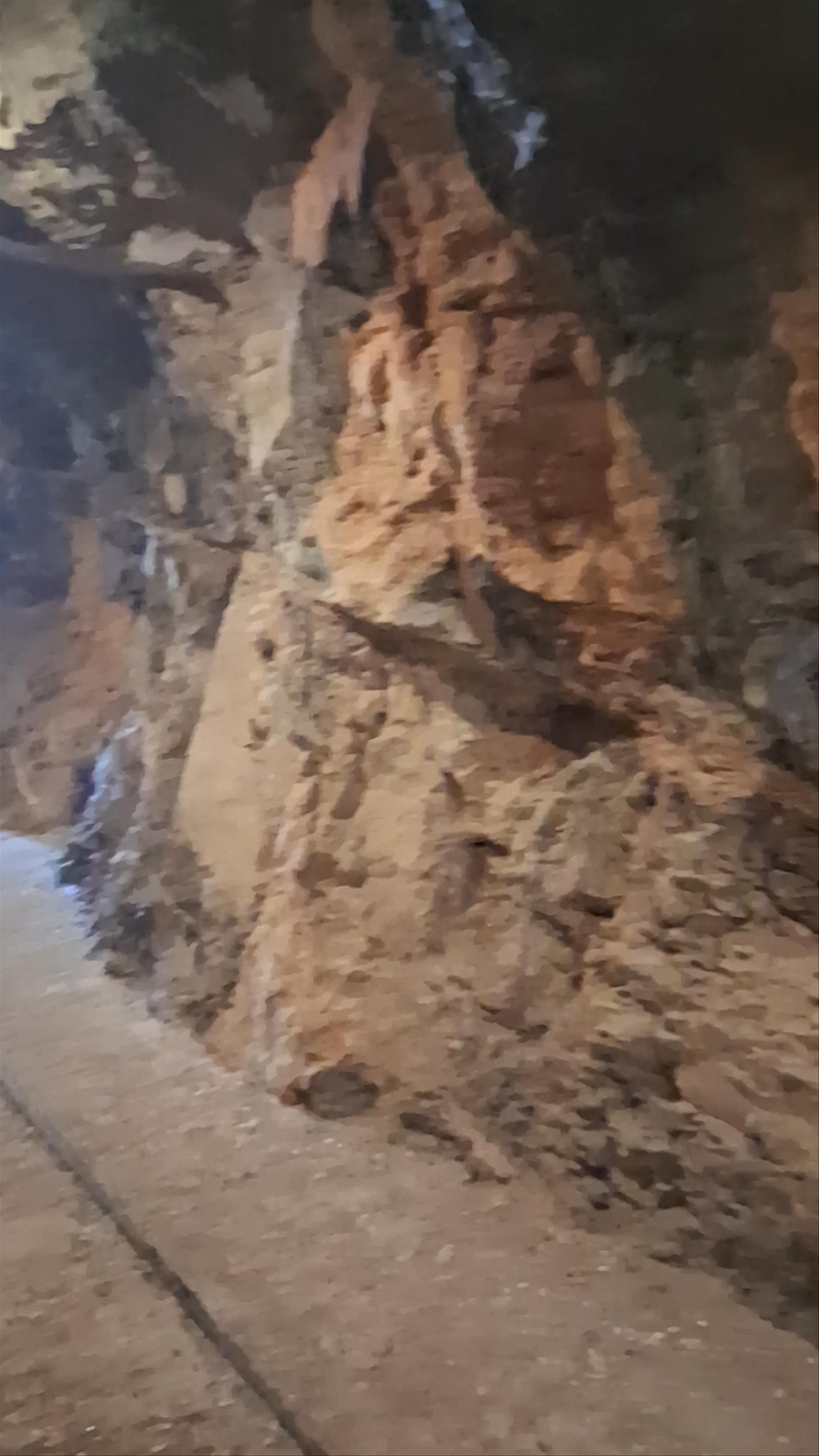 Exploring Petralona Cave: Ancient Wonders Beneath Halkidiki
