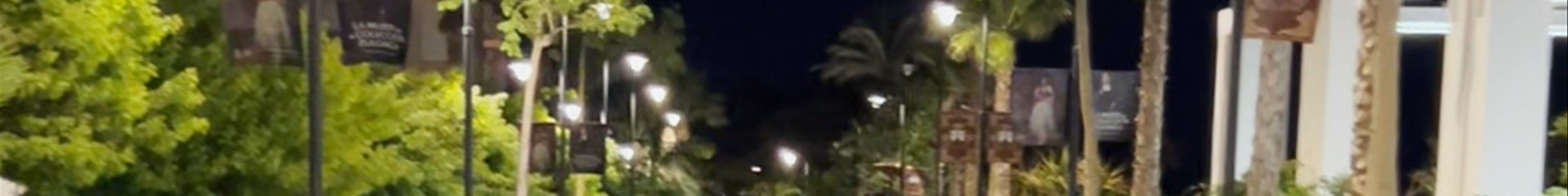 Tours & experiences in Estepona