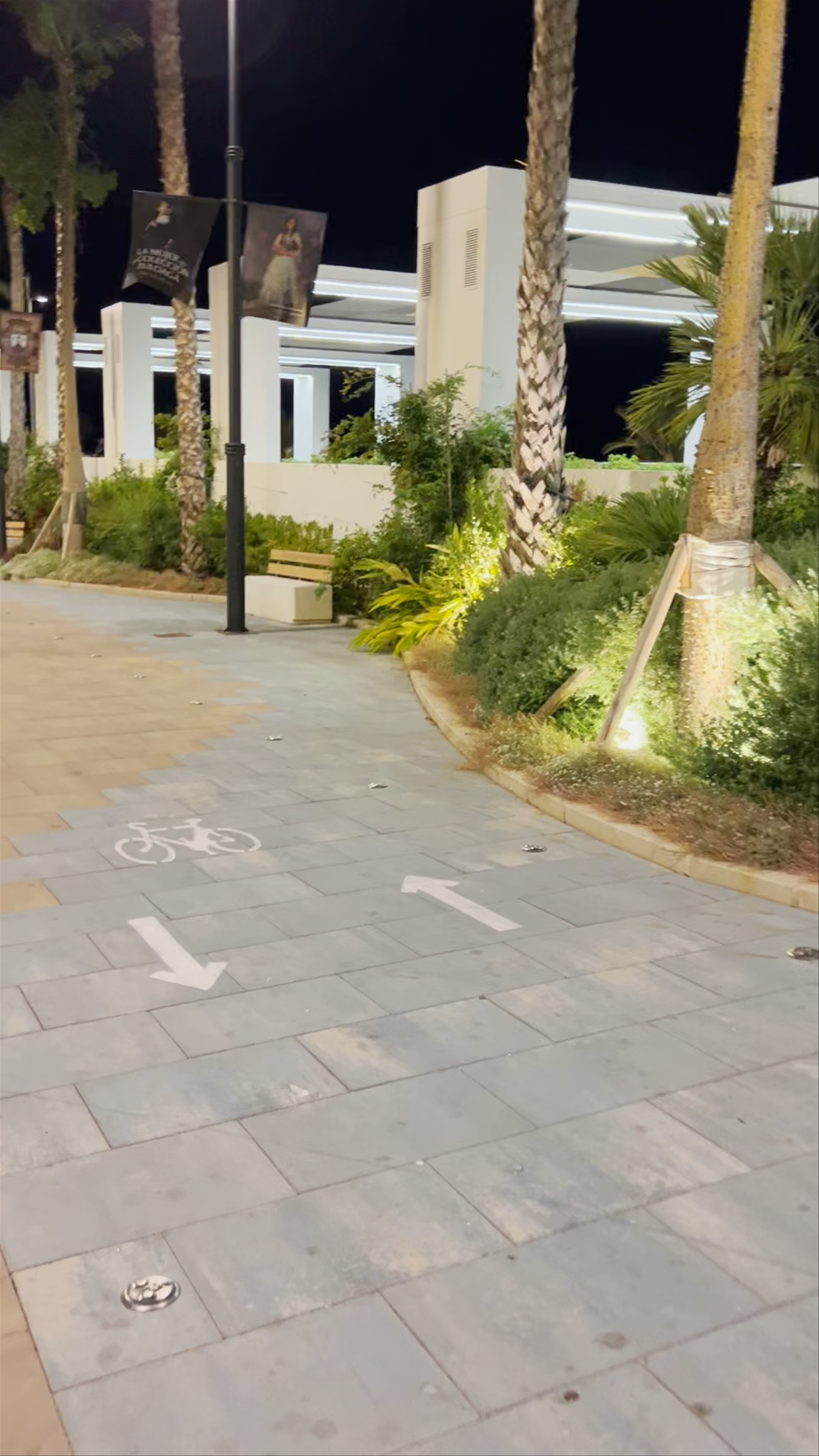 Evening Stroll Along Paseo Marítimo Pedro Manrique, Estepona