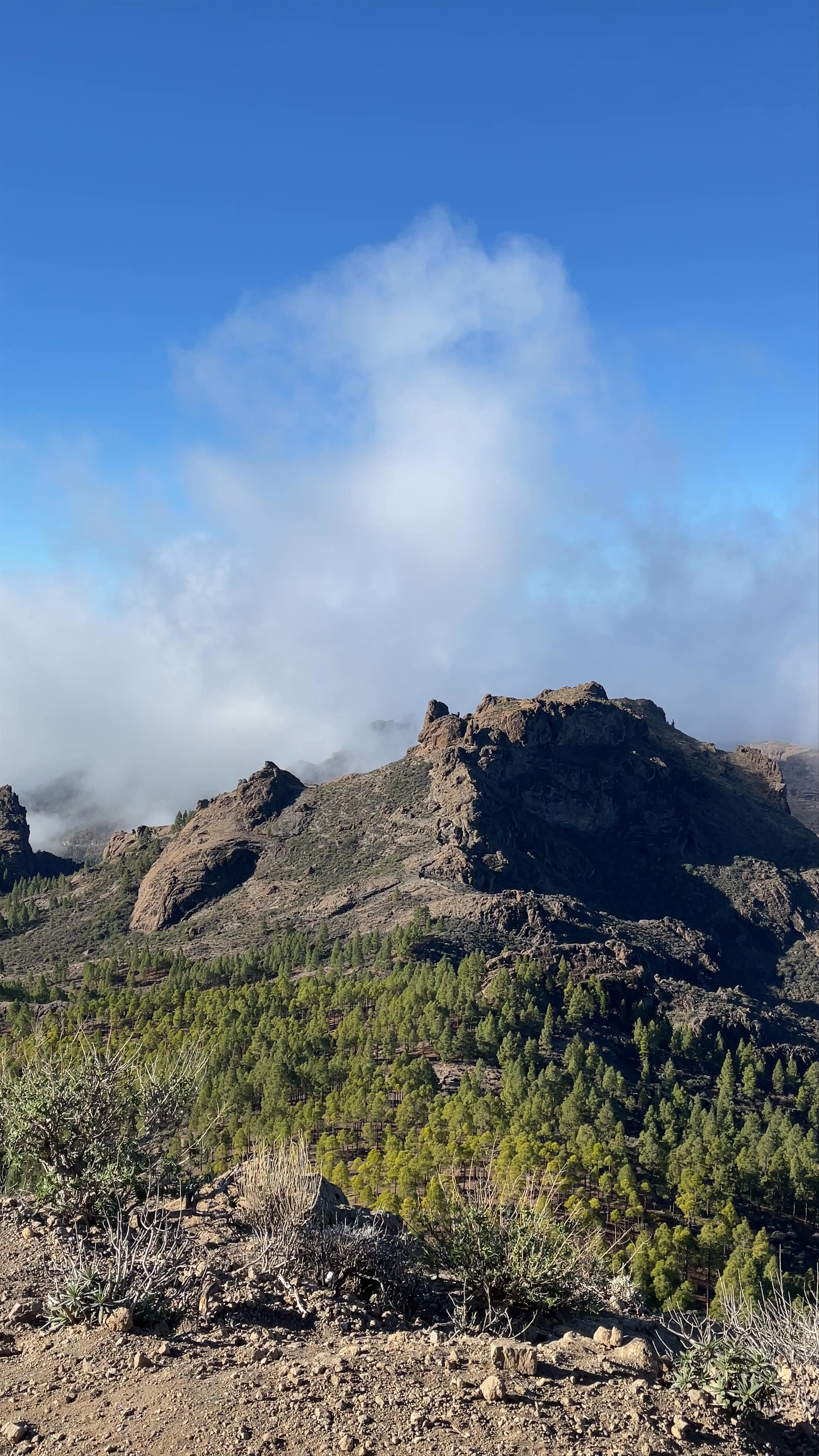 Roque Nublo