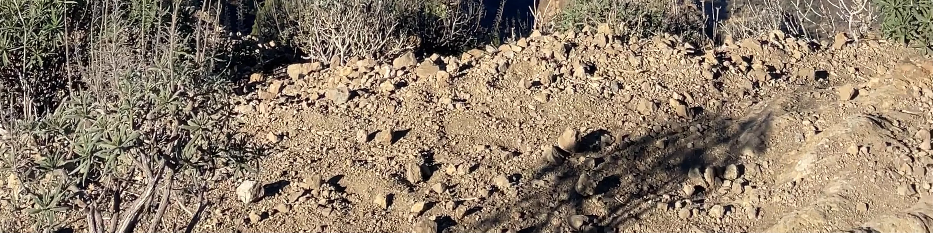 Roque Nublo