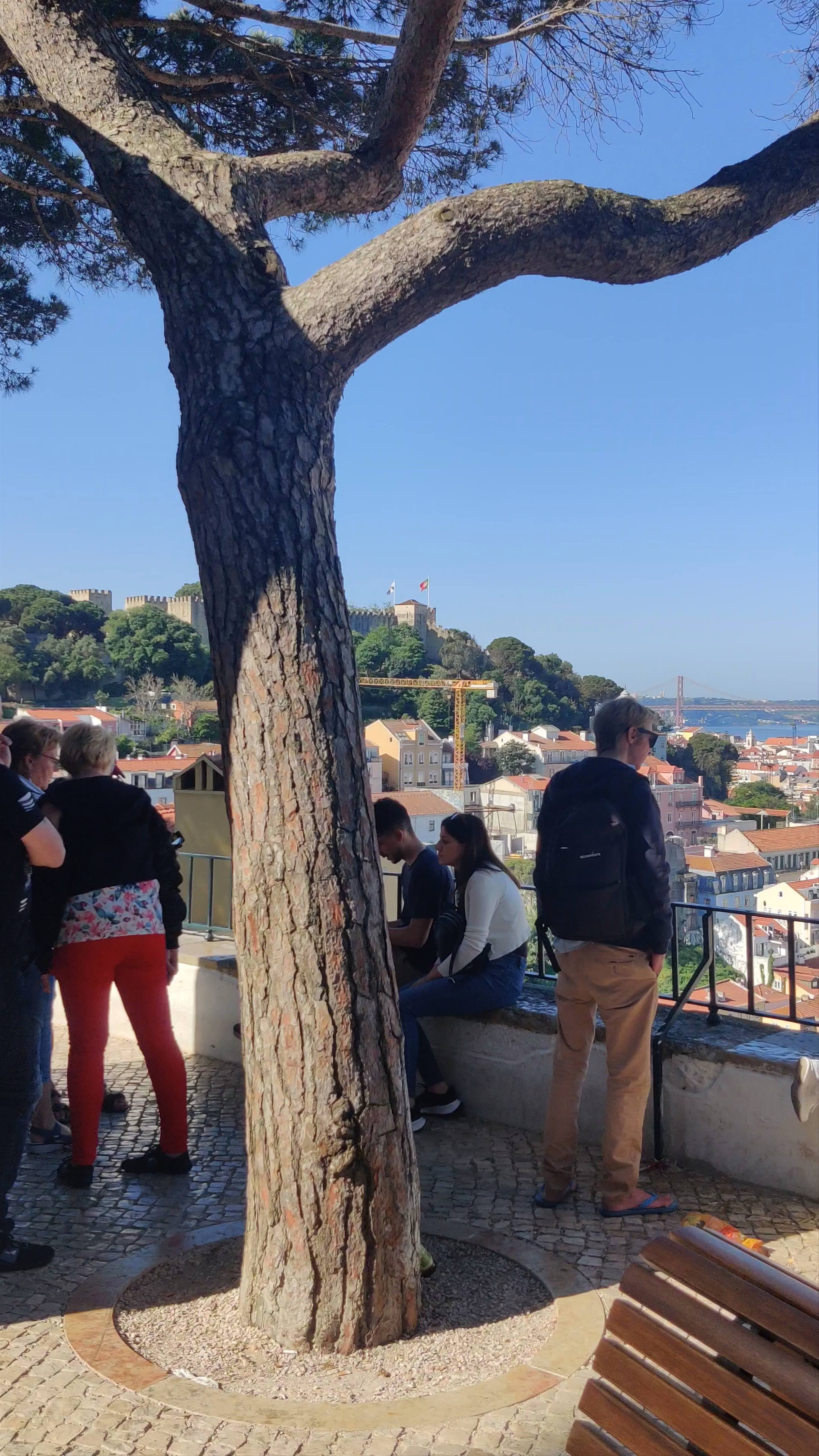 Miradouro da Graça: Panoramic Views Over Lisbon’s Historic Rooftops