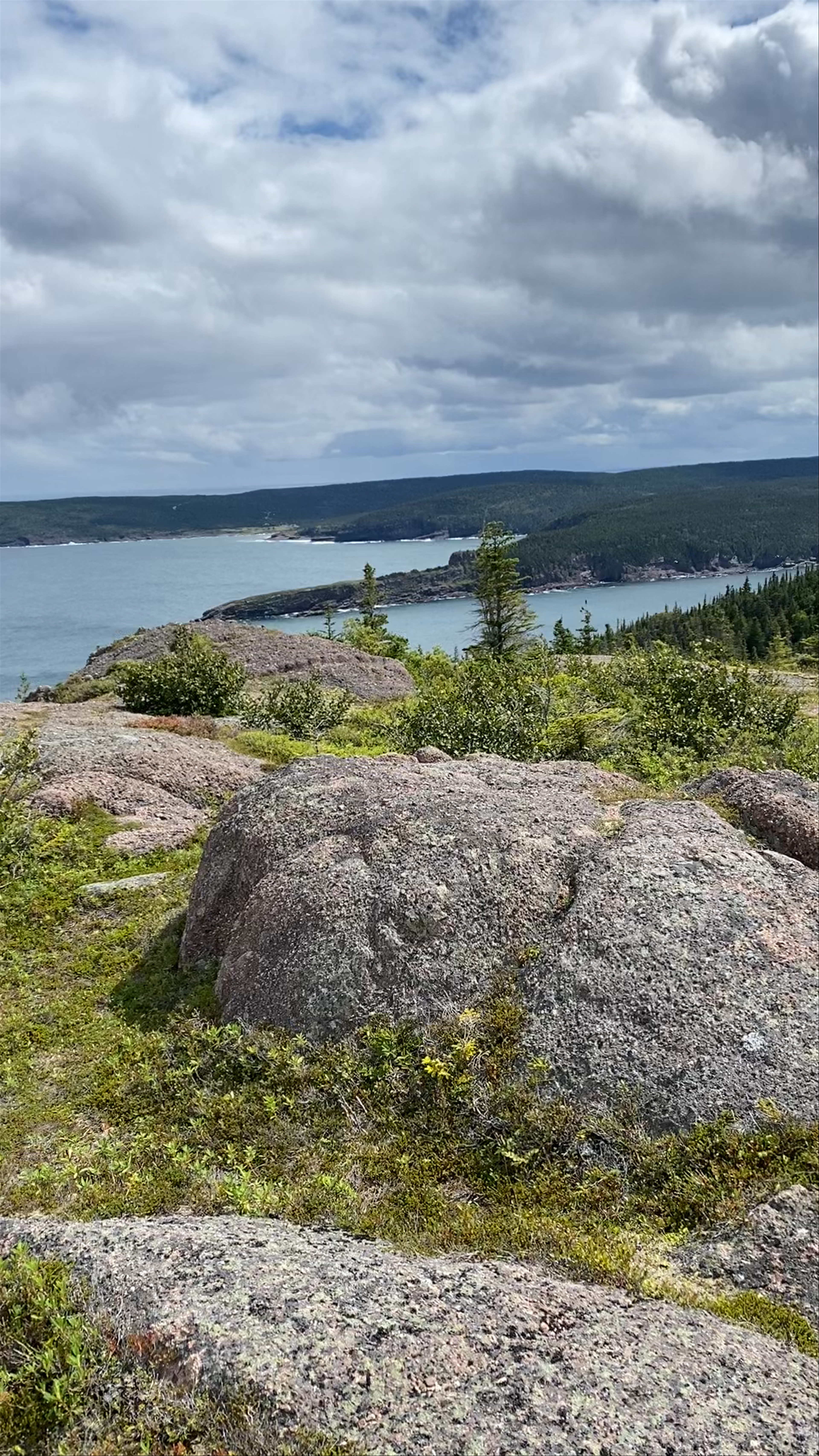 Breathtaking Coastal View at Cape Spear, St. John's