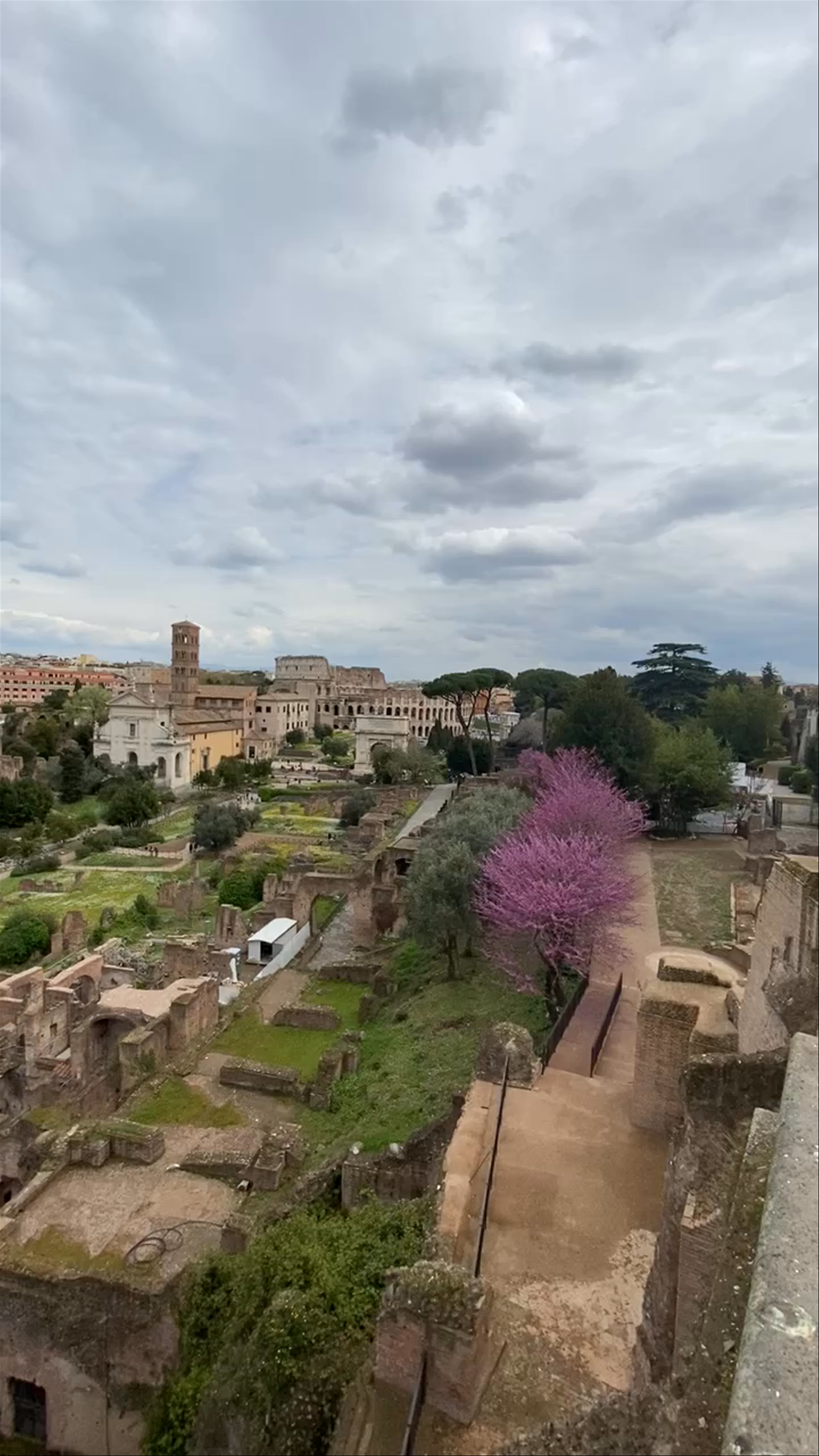 Foro Romano: Ancient Roman Ruins and Garden Views in Rome