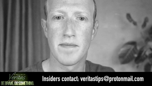 Video Thumbnail Loop