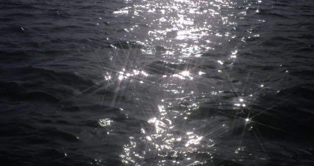 Sun reflecting on the water