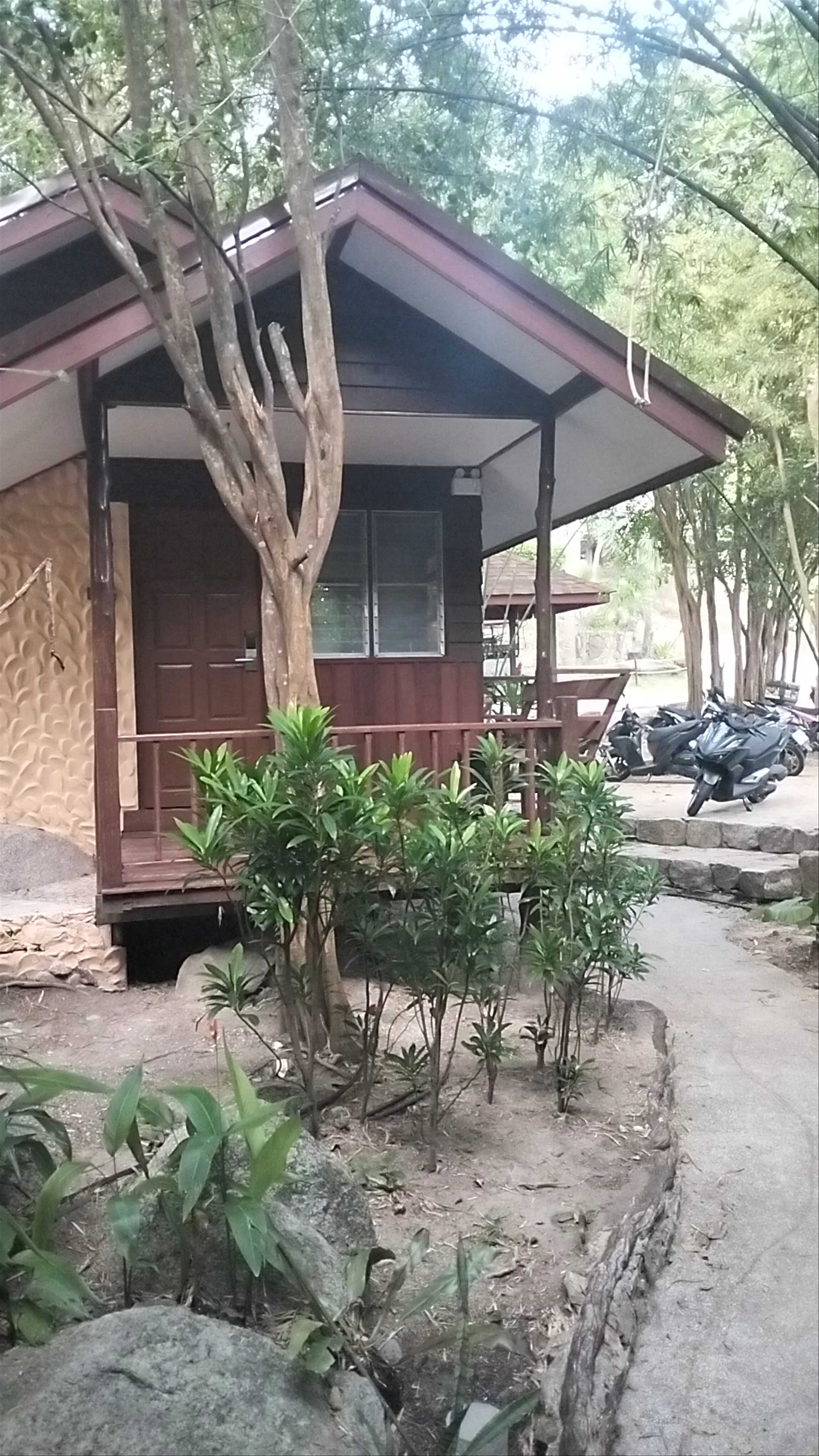 Buddha View Dive Centre - Scuba Diving - Padi Courses - Divemaster Training - IDC
