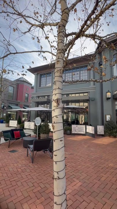 BELMONT PARK VILLAGE - Updated April 2026 - 53 Photos & 25 Reviews ...