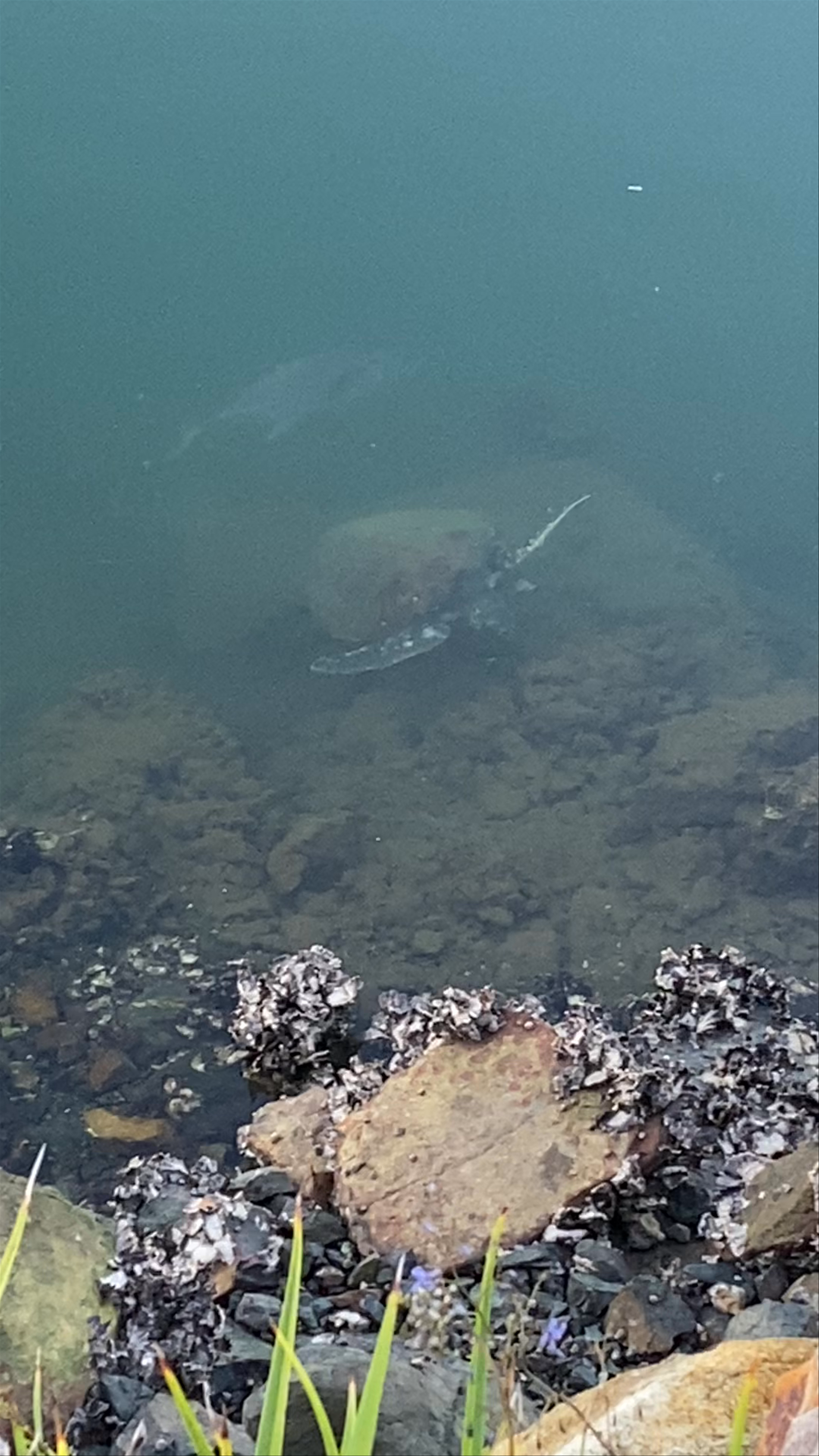 Sails Port Macquarie by Rydges