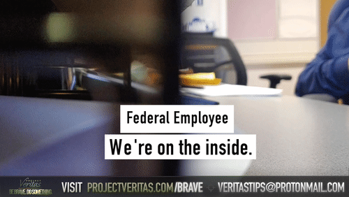 Video Thumbnail Loop