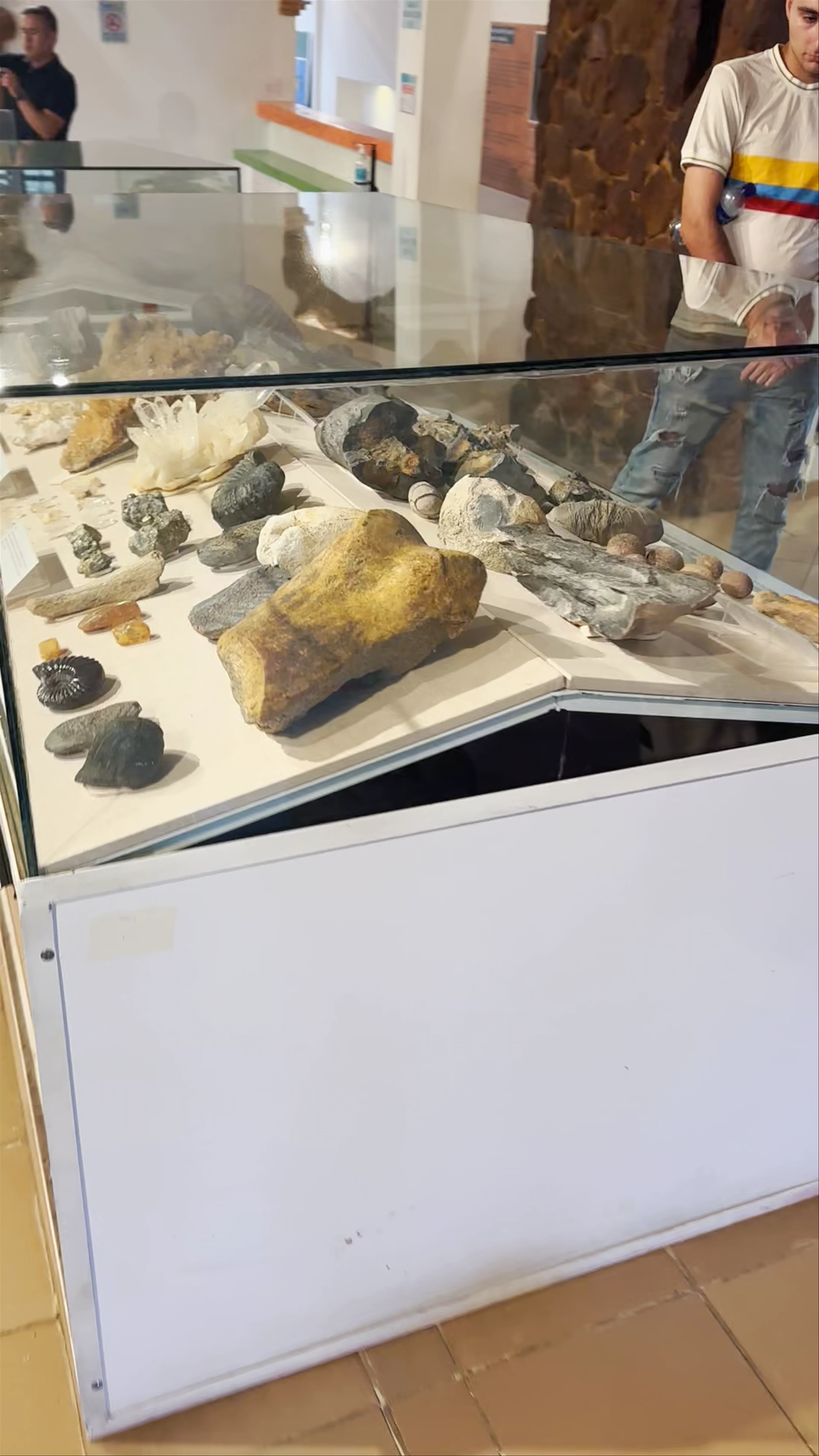 Fossil Museum, Villa de Leyva