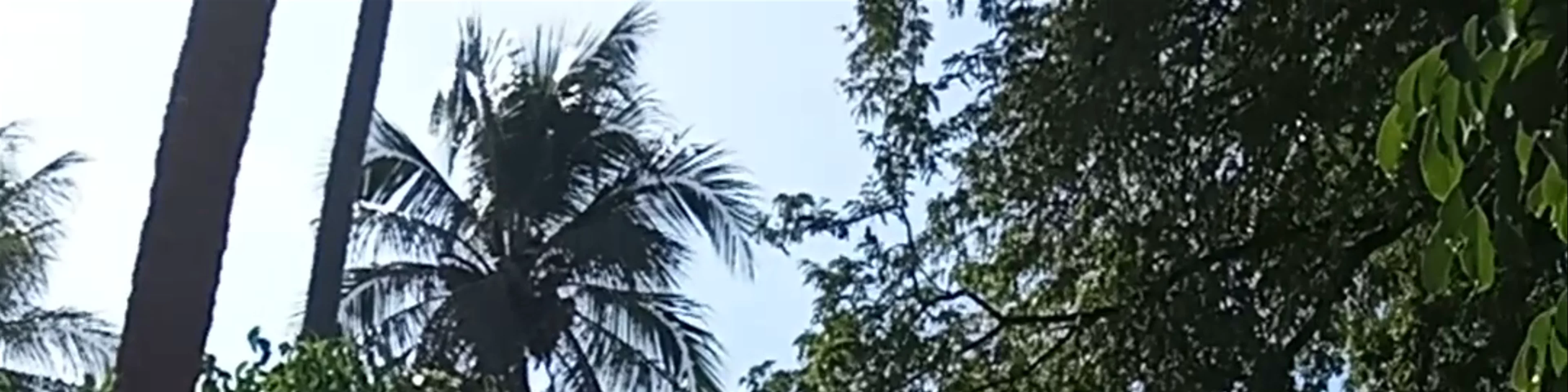 NANA BAR Thappraya Road
