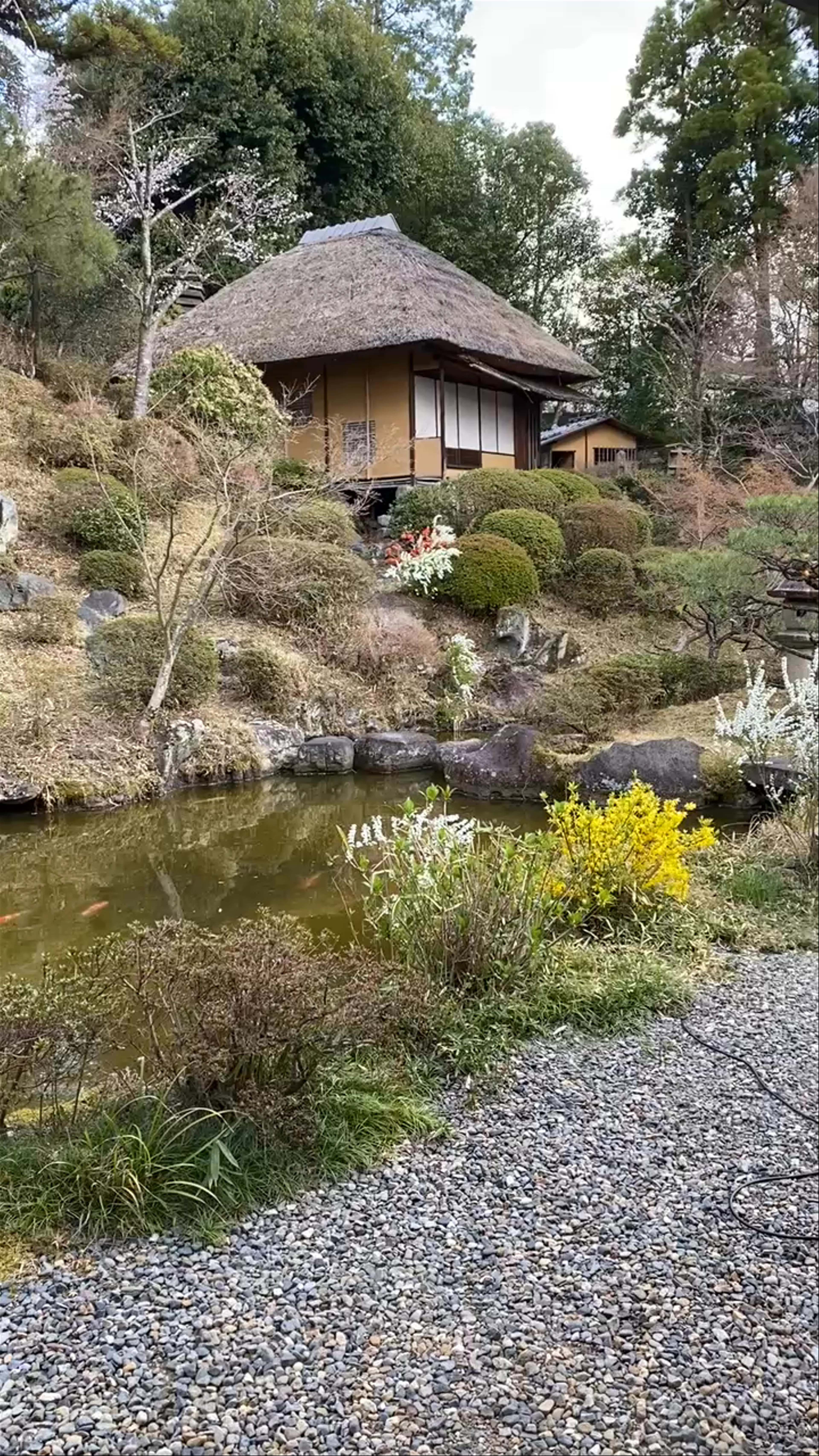 Tea Ceremony Ju-An