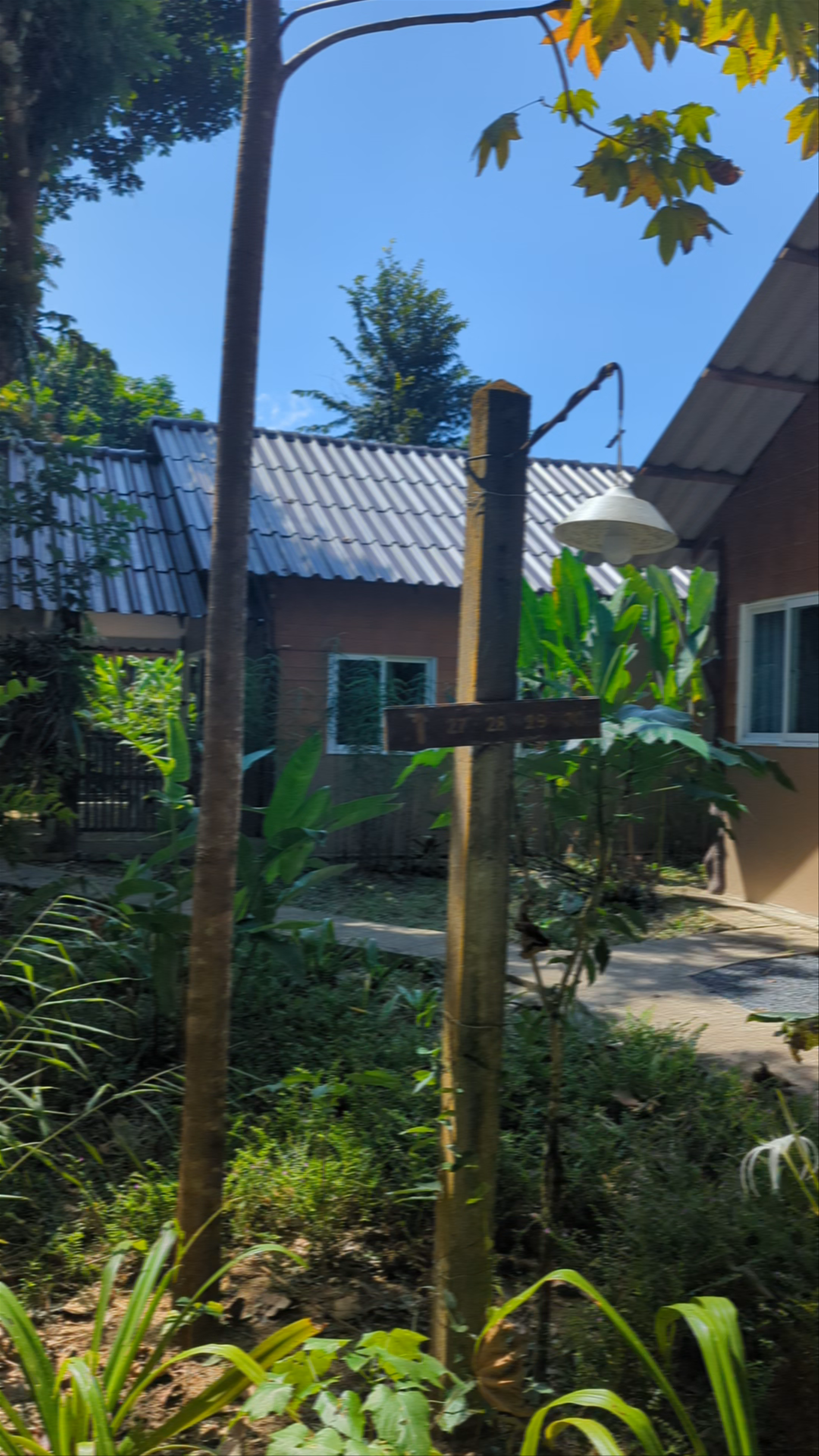 Khao Sok Morning Mist Resort
