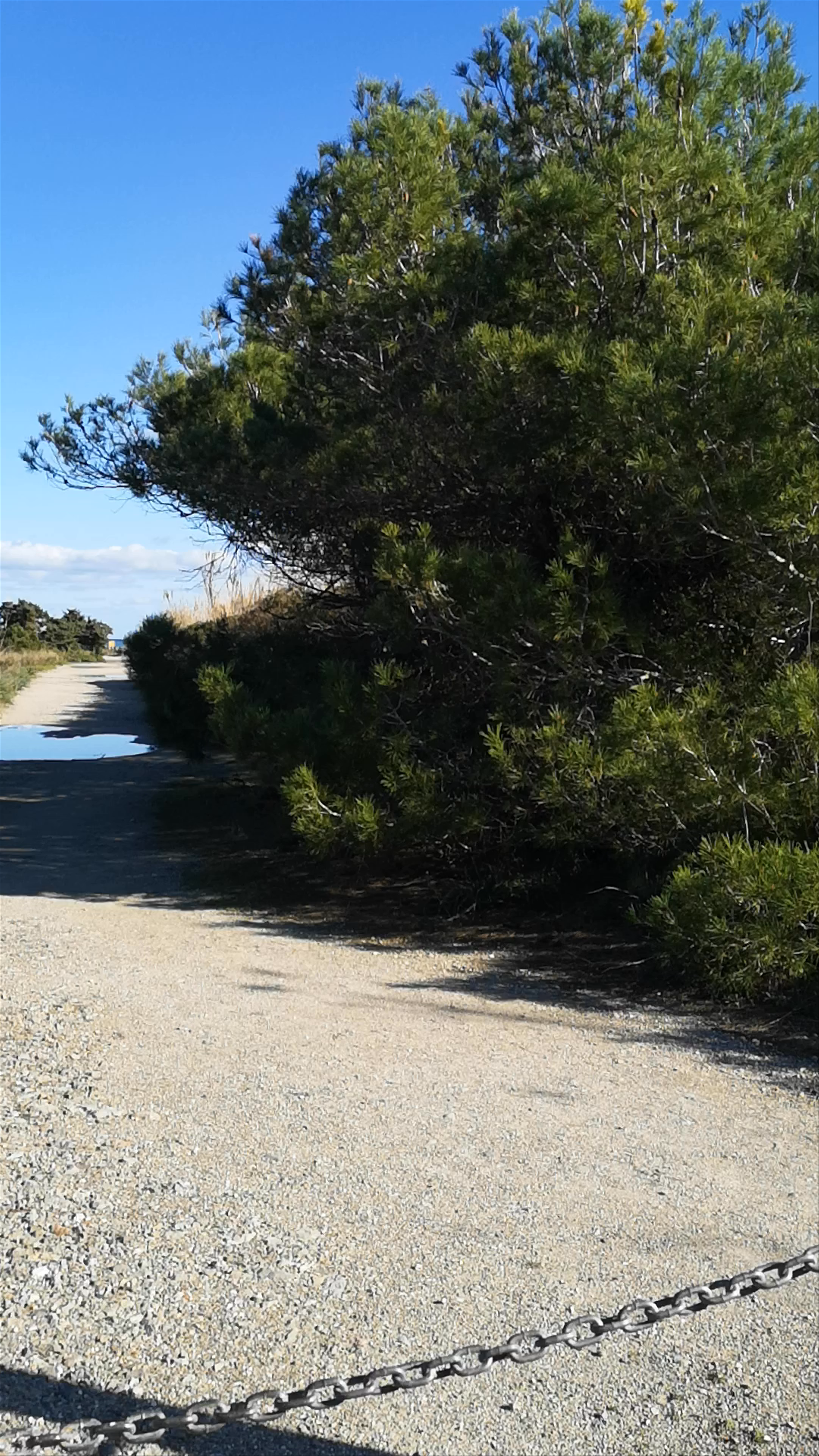 Parc Natural de s'Albufera de Mallorca