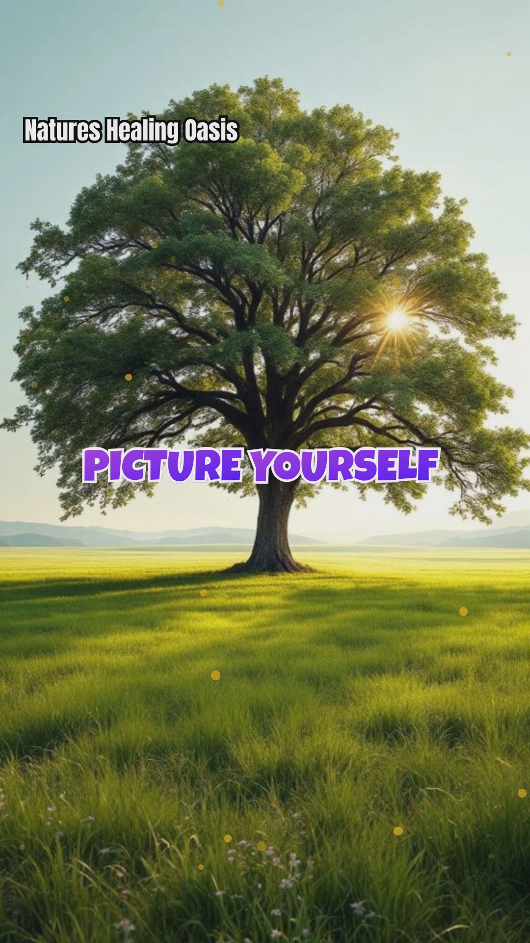 Solitary Trees vs. Tree Clusters: How They Shape Your Mood