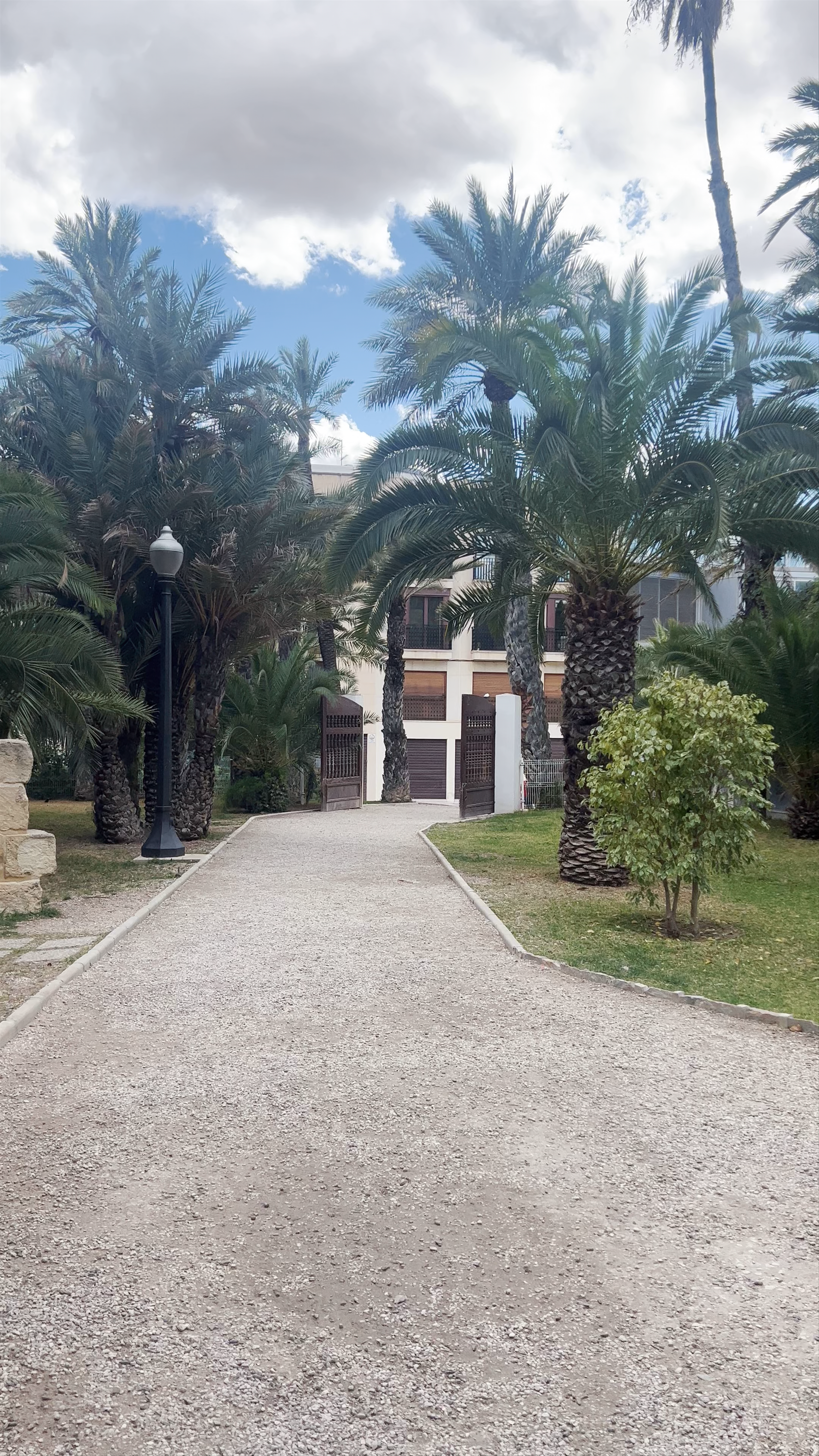 A Serene Walk Through El Palmeral de Elche
