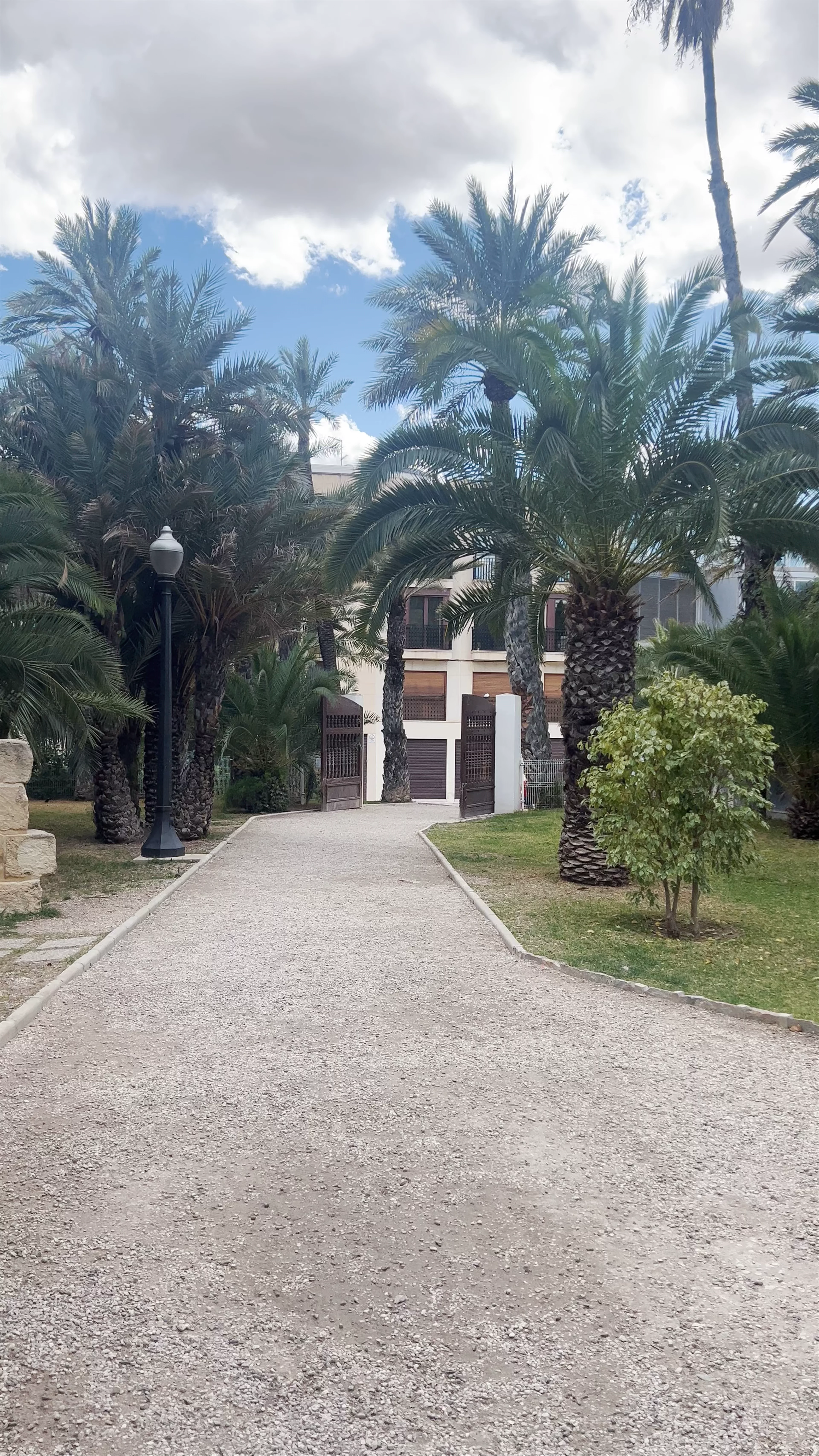 El Palmeral de Elche