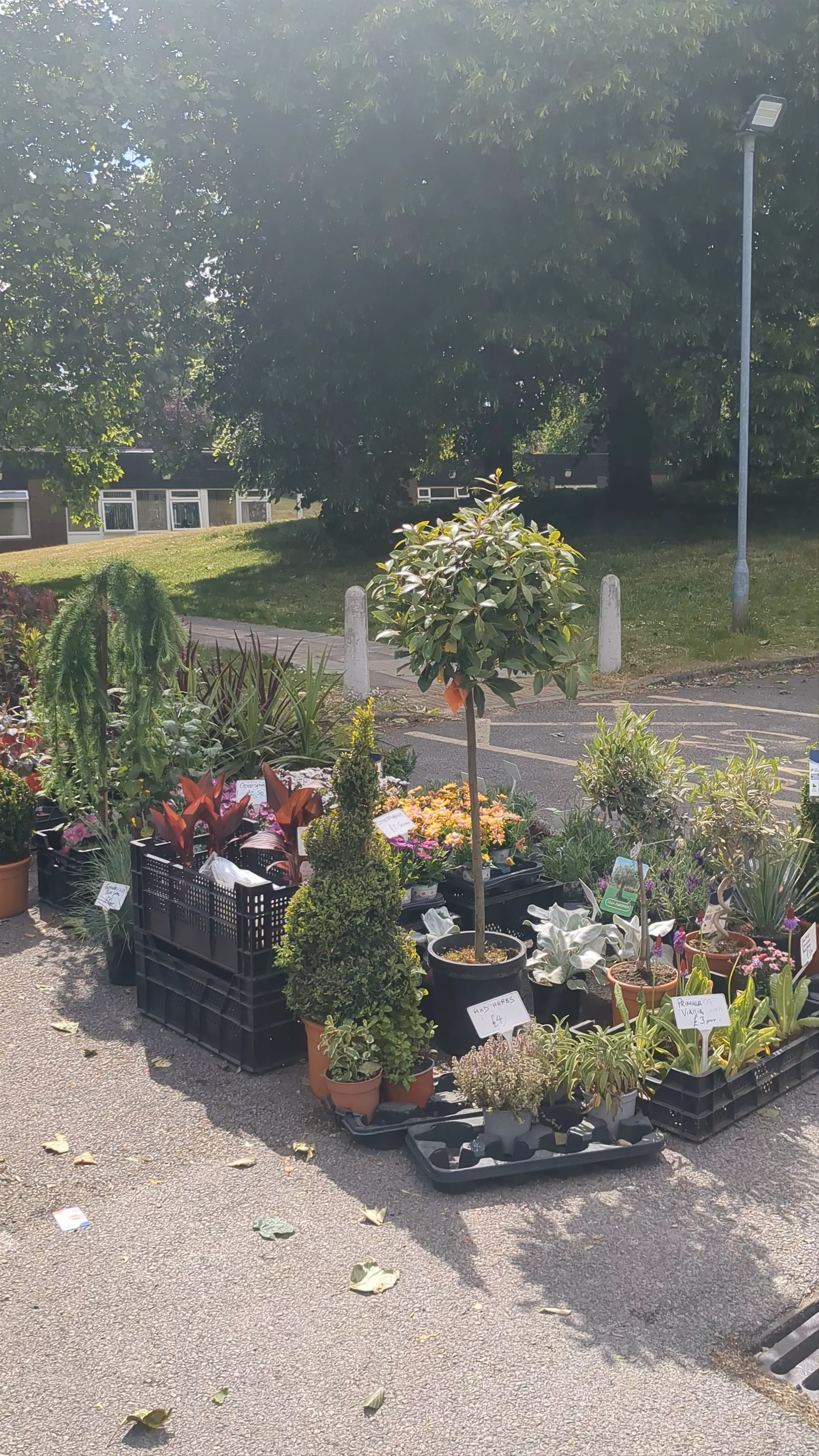 West Didsbury Makers Market