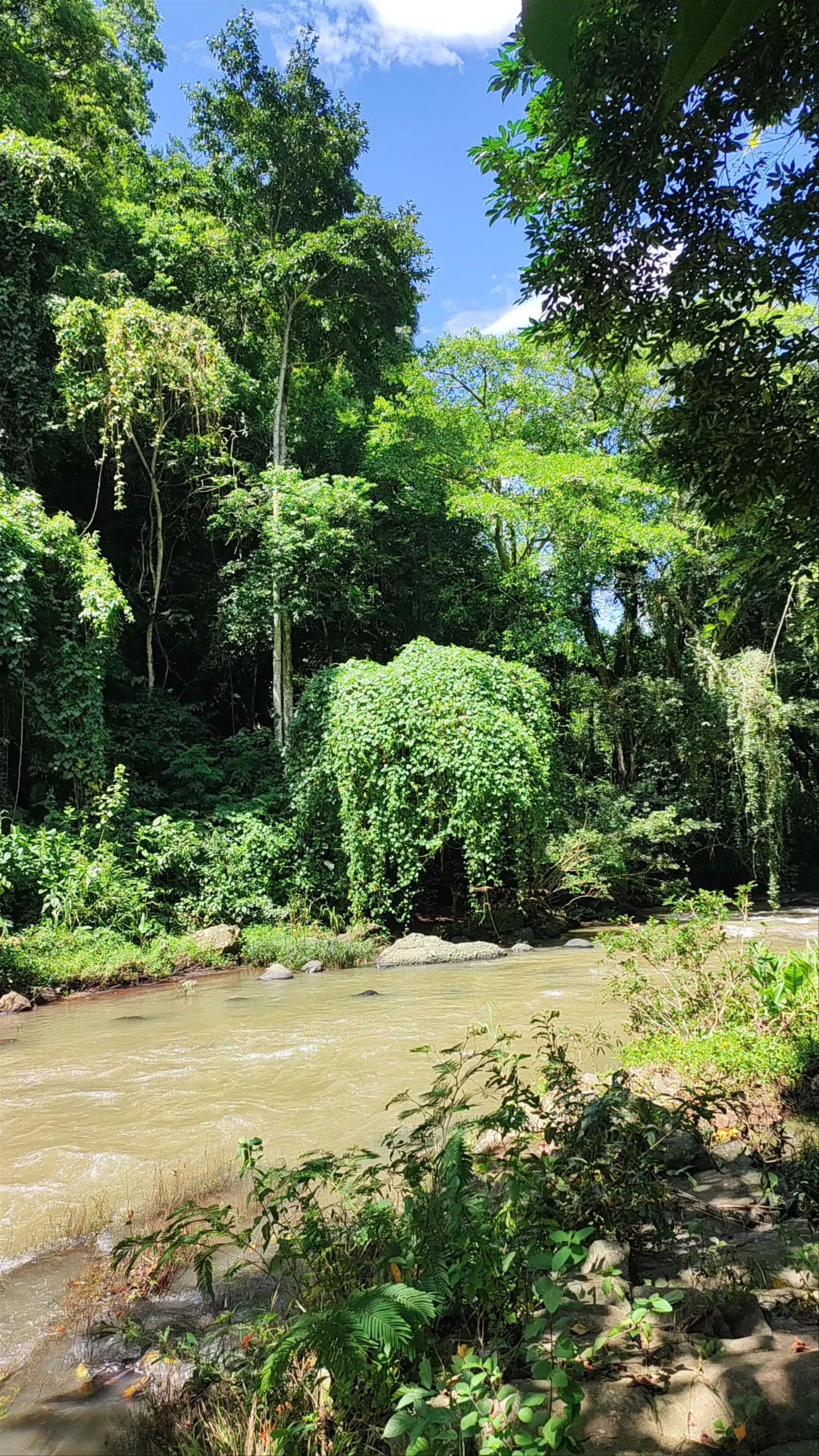 Restaurante Senderos