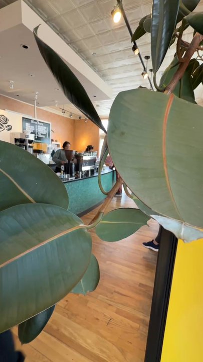 Slow Burn Coffee - Try their burritos! - Coffee Roasteries Near Me - Albuquerque, New Mexico