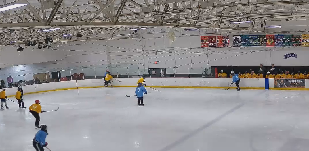 Vegas -keep them out of D Zone