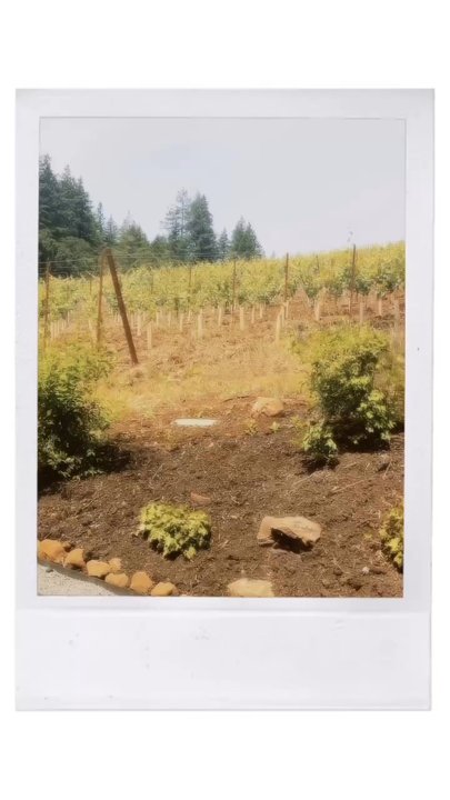 Artist Block Tasting Room - Outside - Wine Tasting Room Near Me - Dundee, Oregon