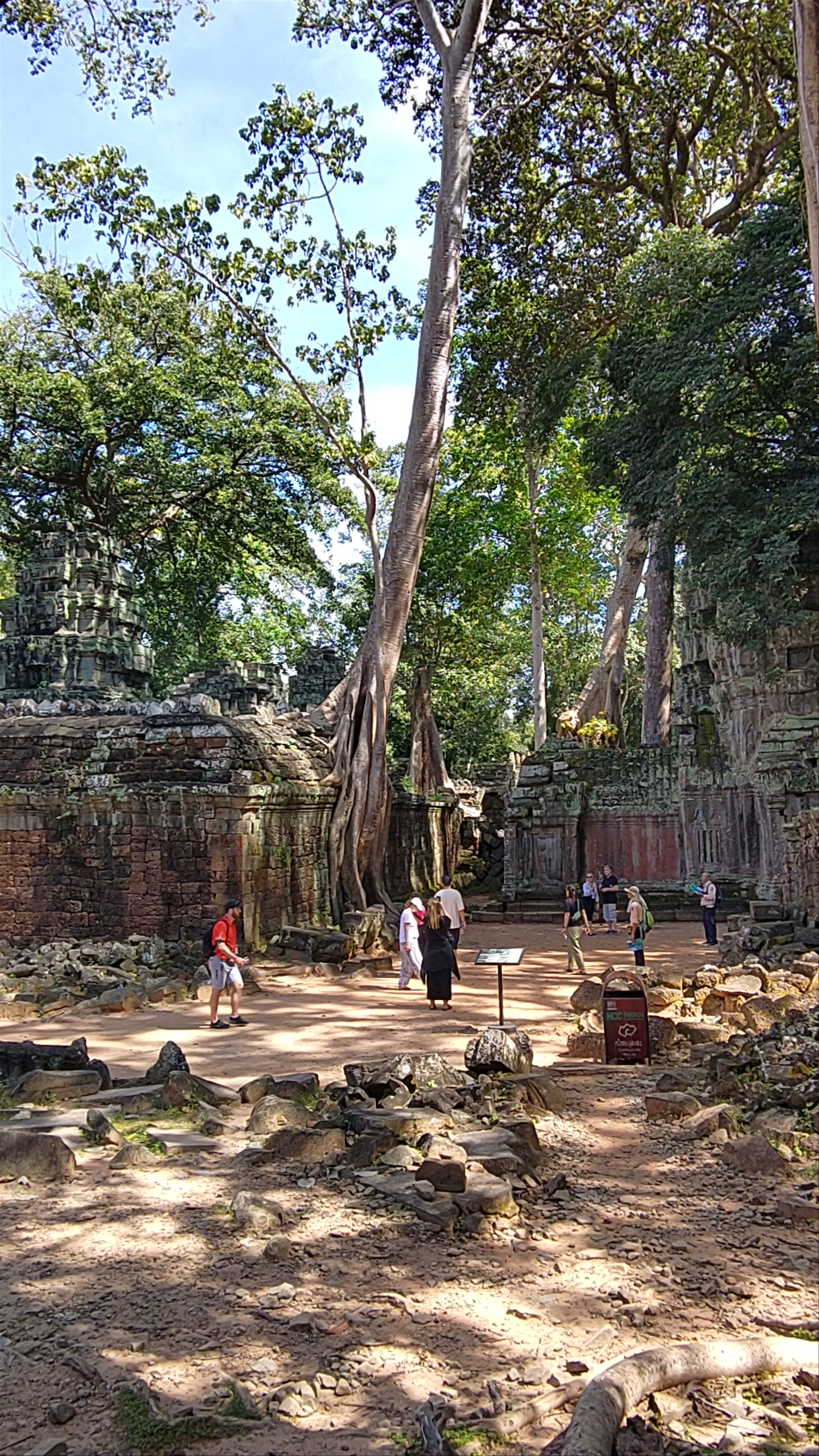 Ta Prohm