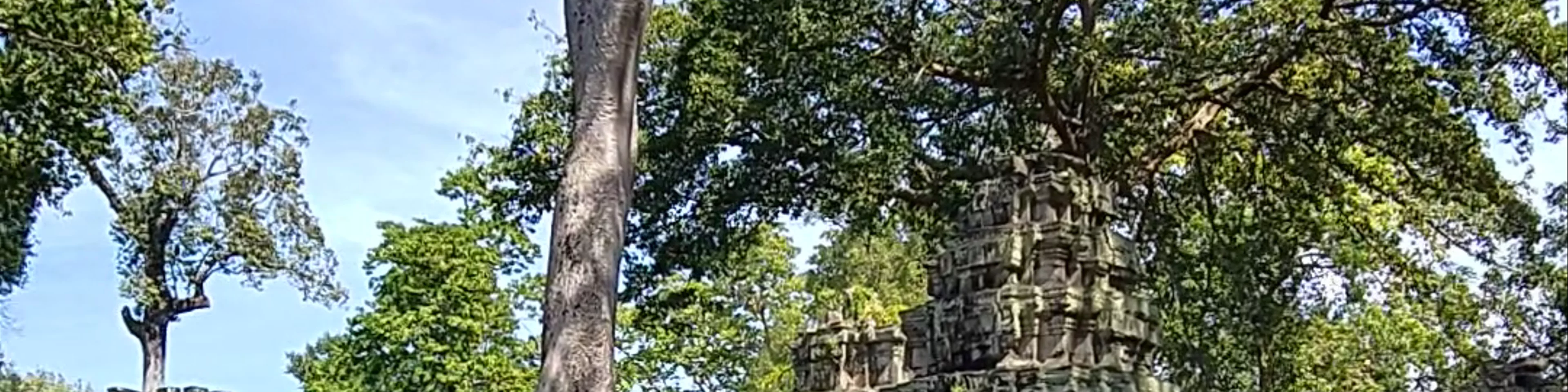 Ta Prohm