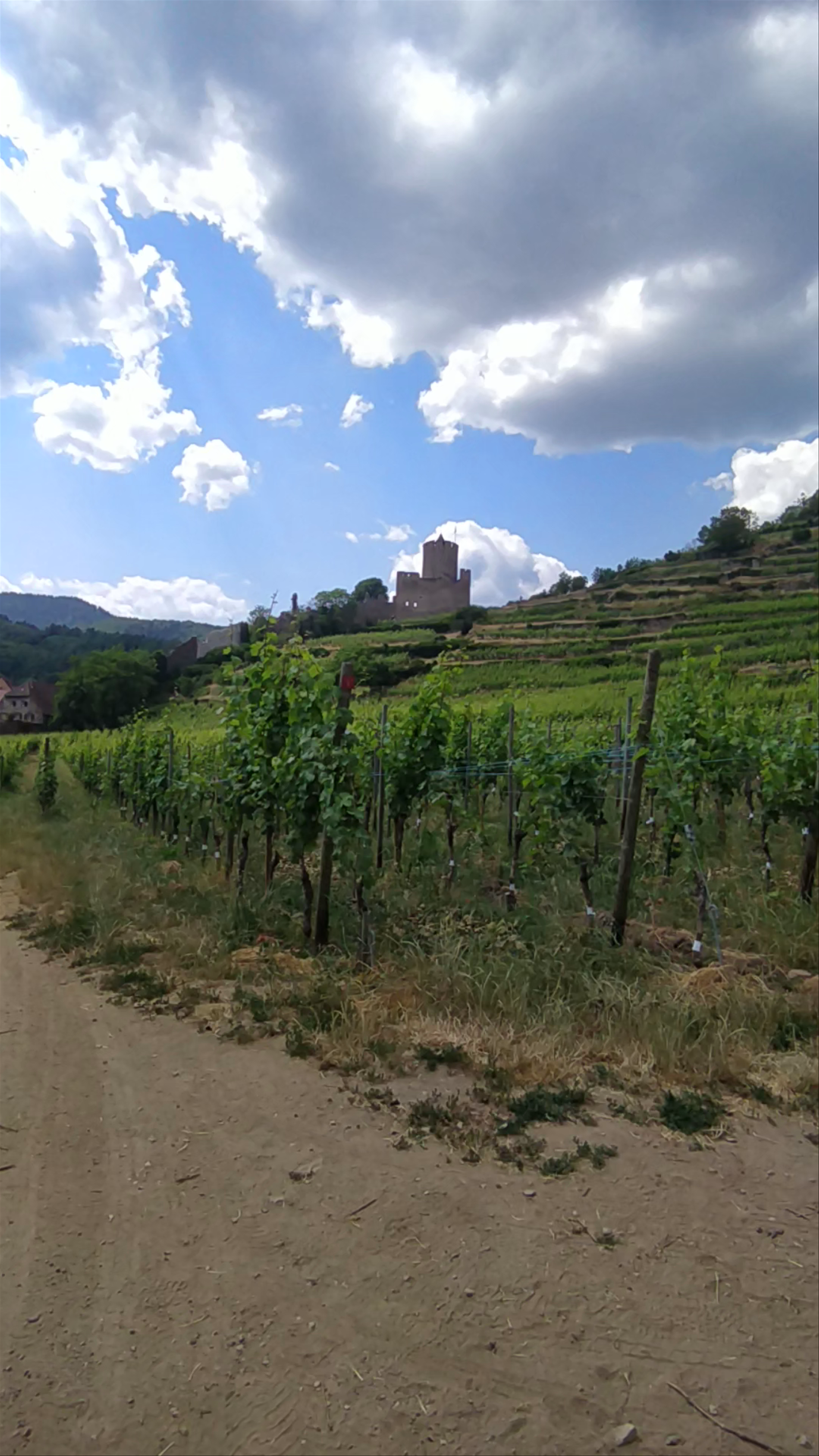 Château de Kaysersberg