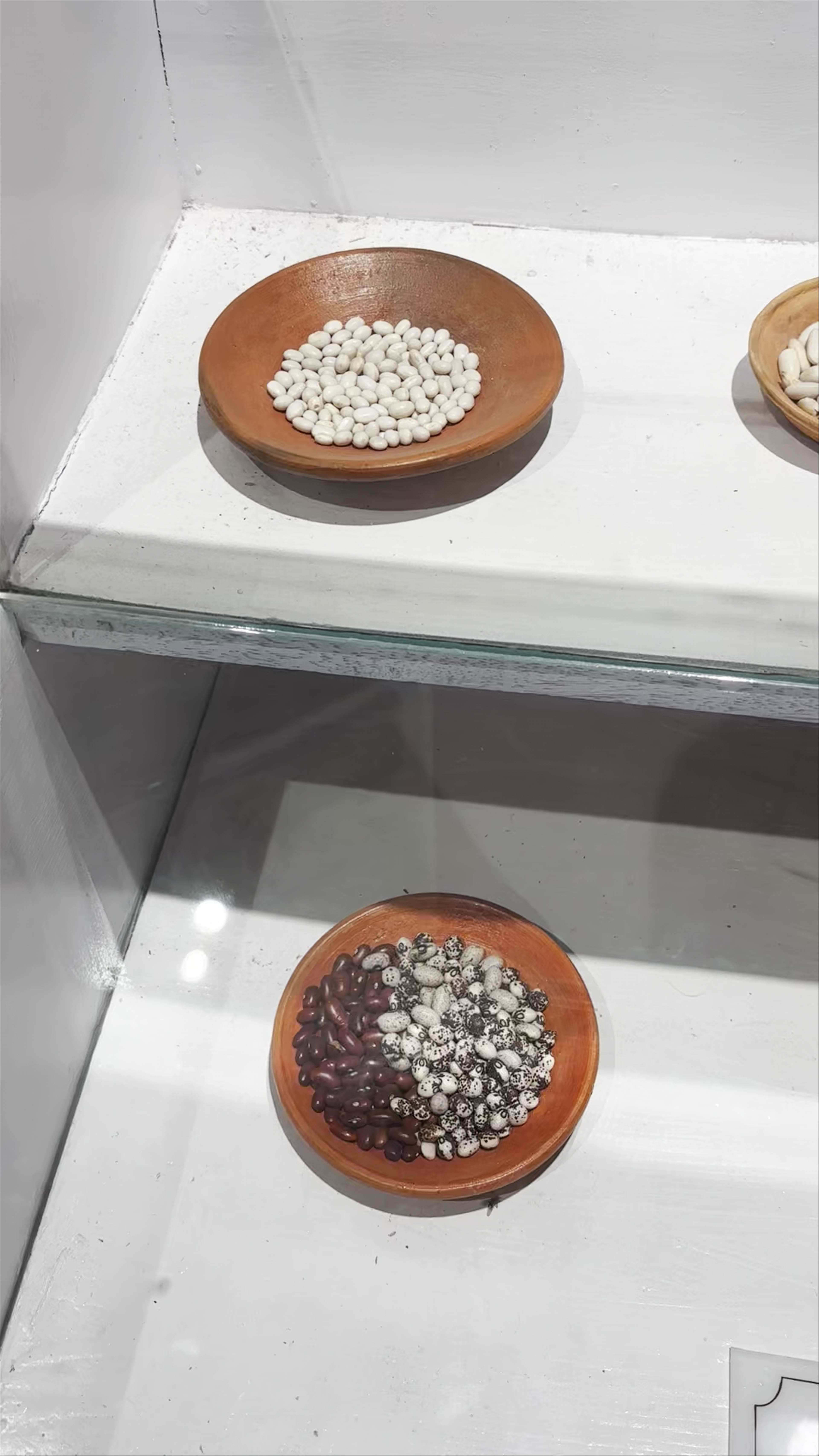 Museo de Sitio Qorikancha